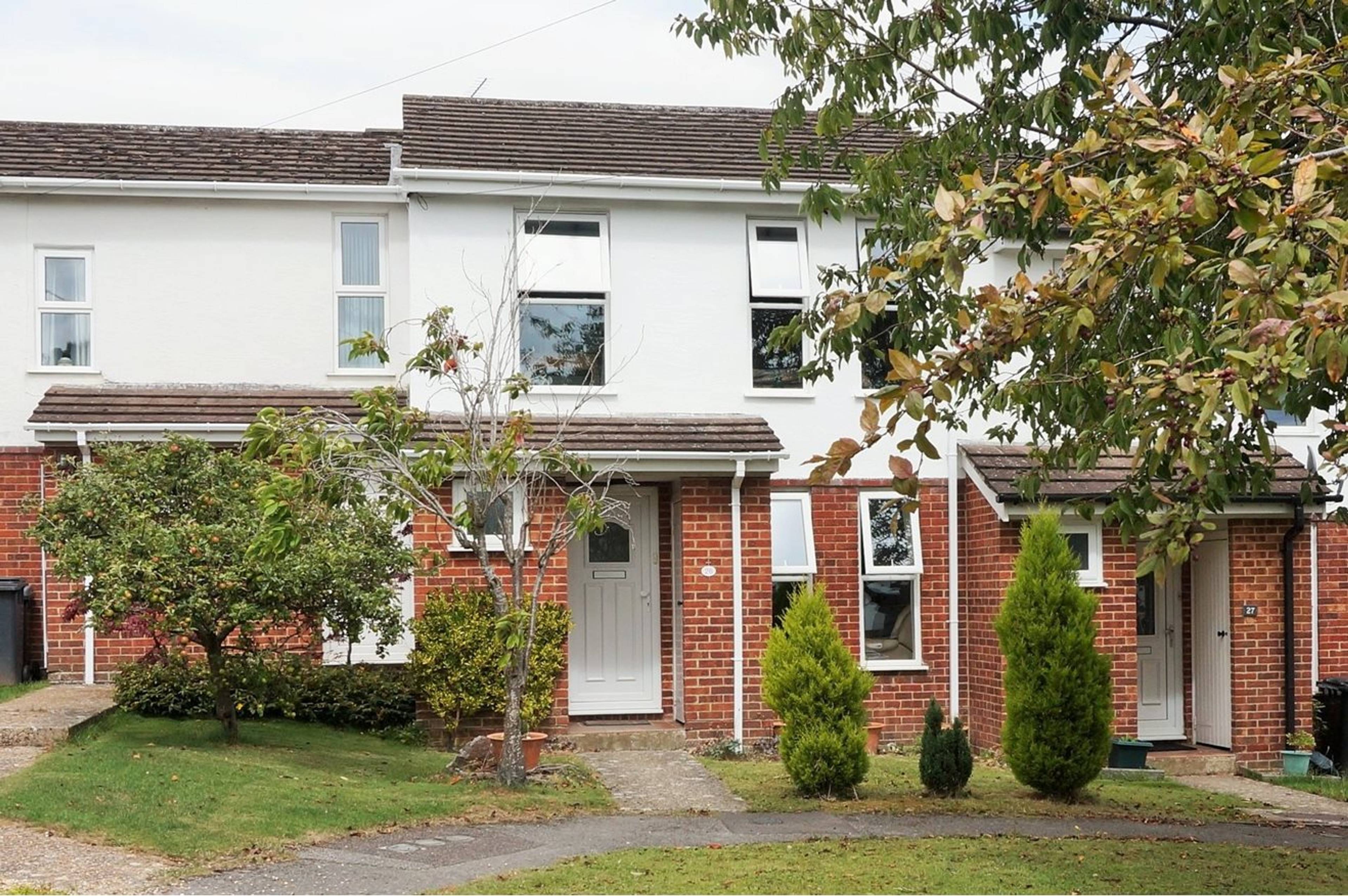 The Property