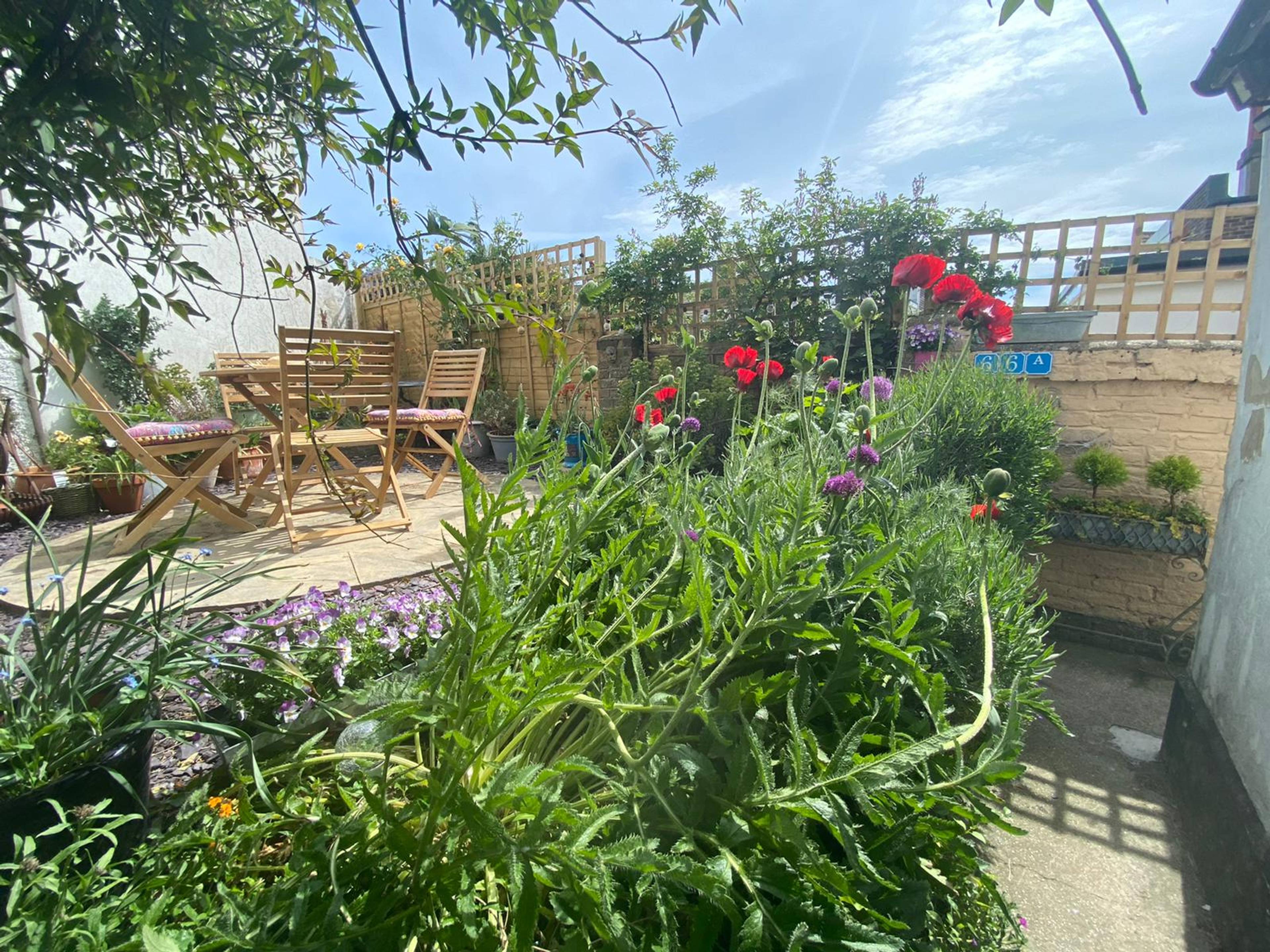 Garden