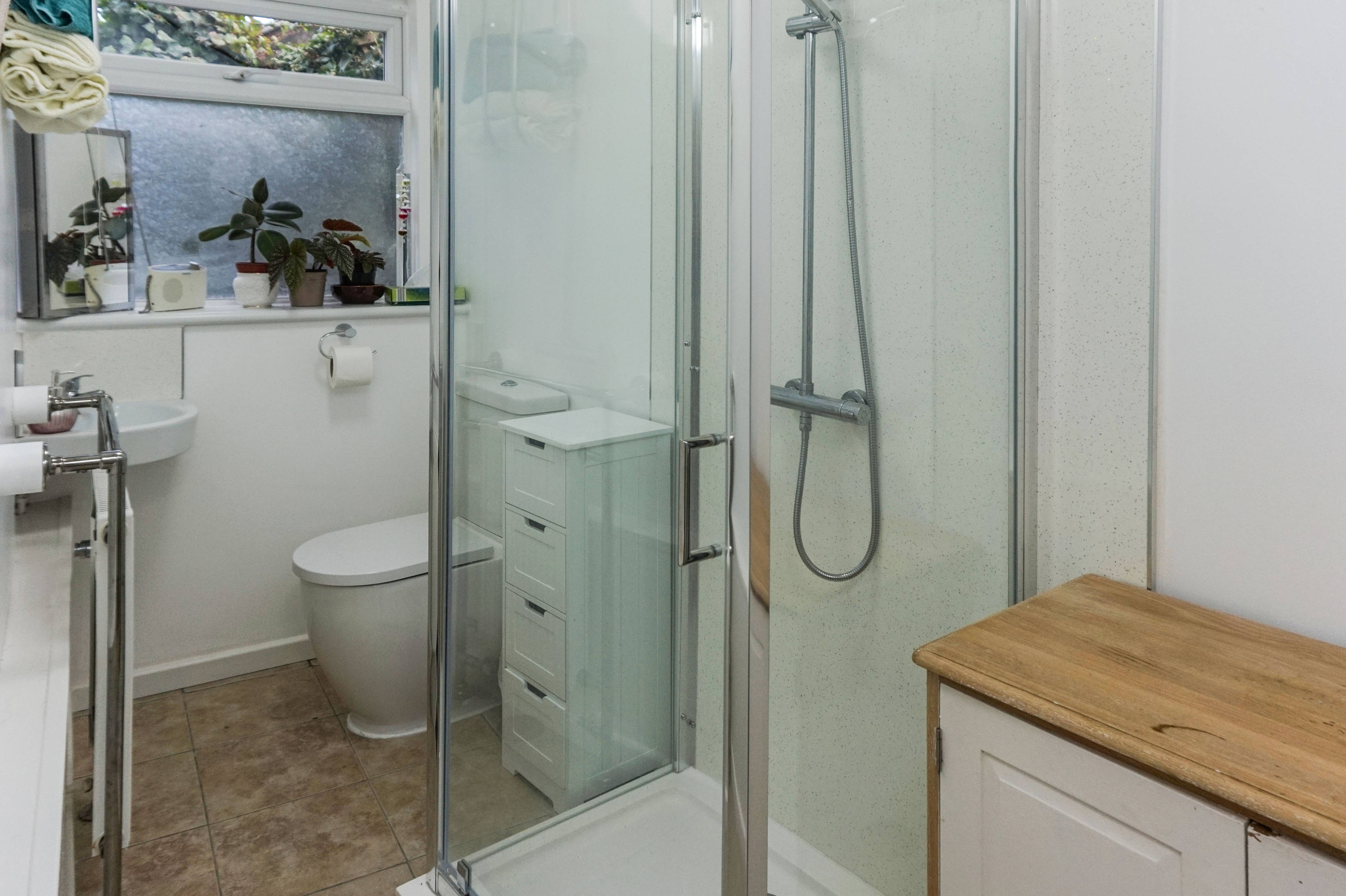 Downstairs Shower