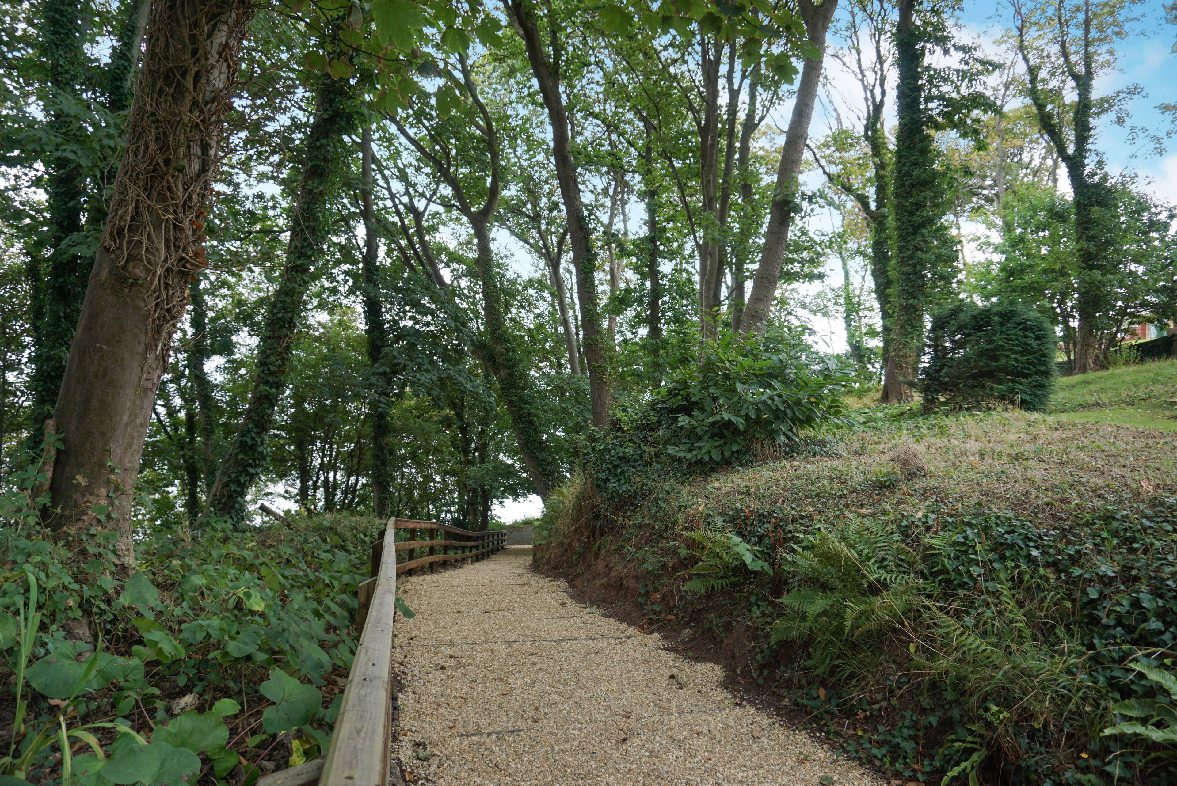 Communal Gardens