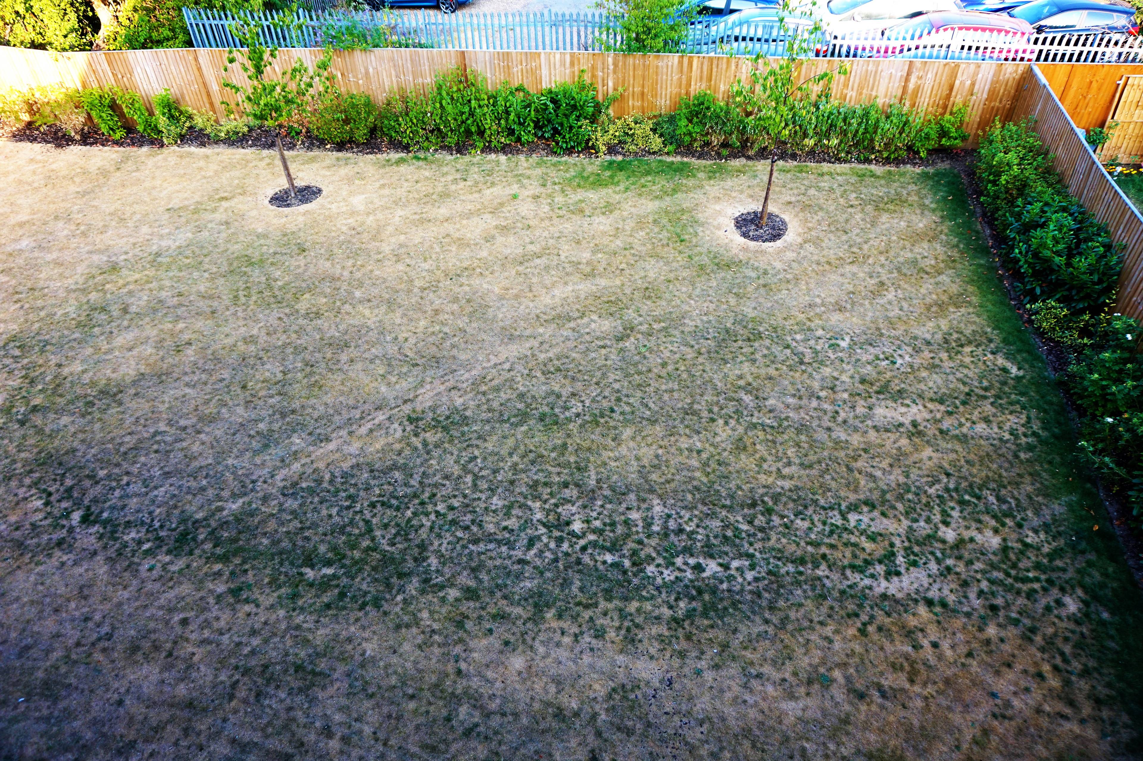 Communal Gardens