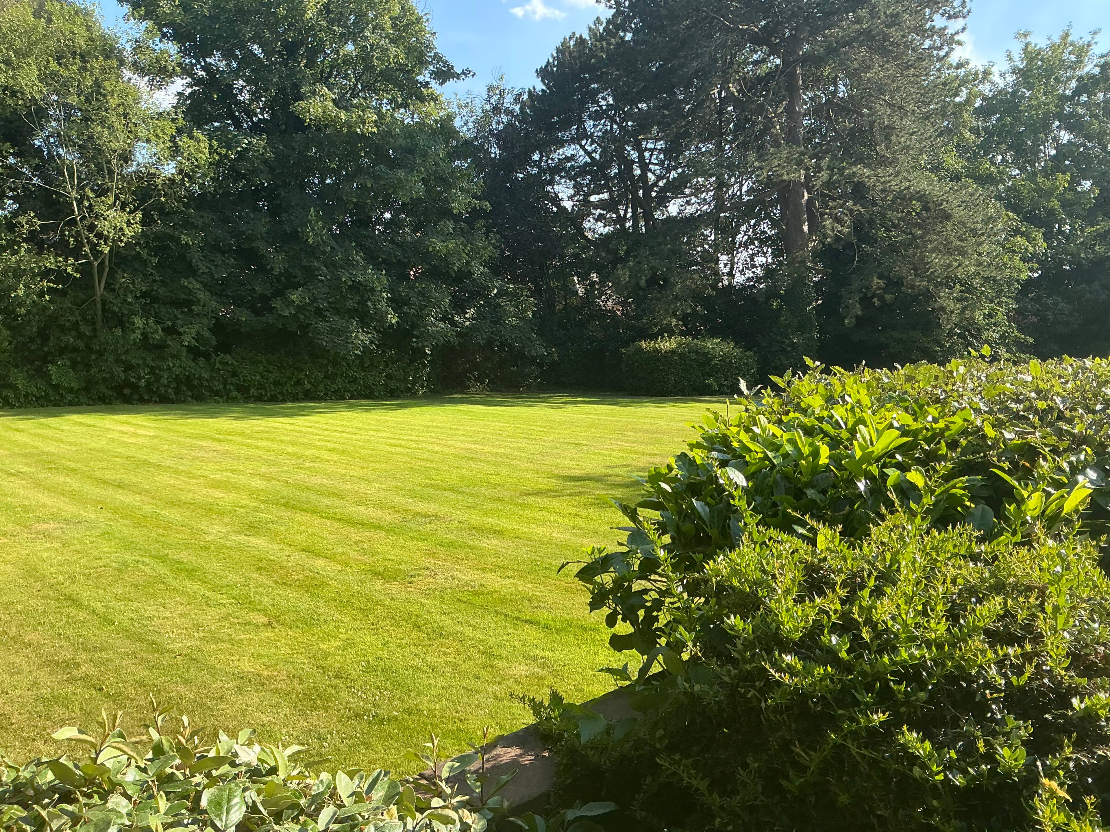 Communal Gardens