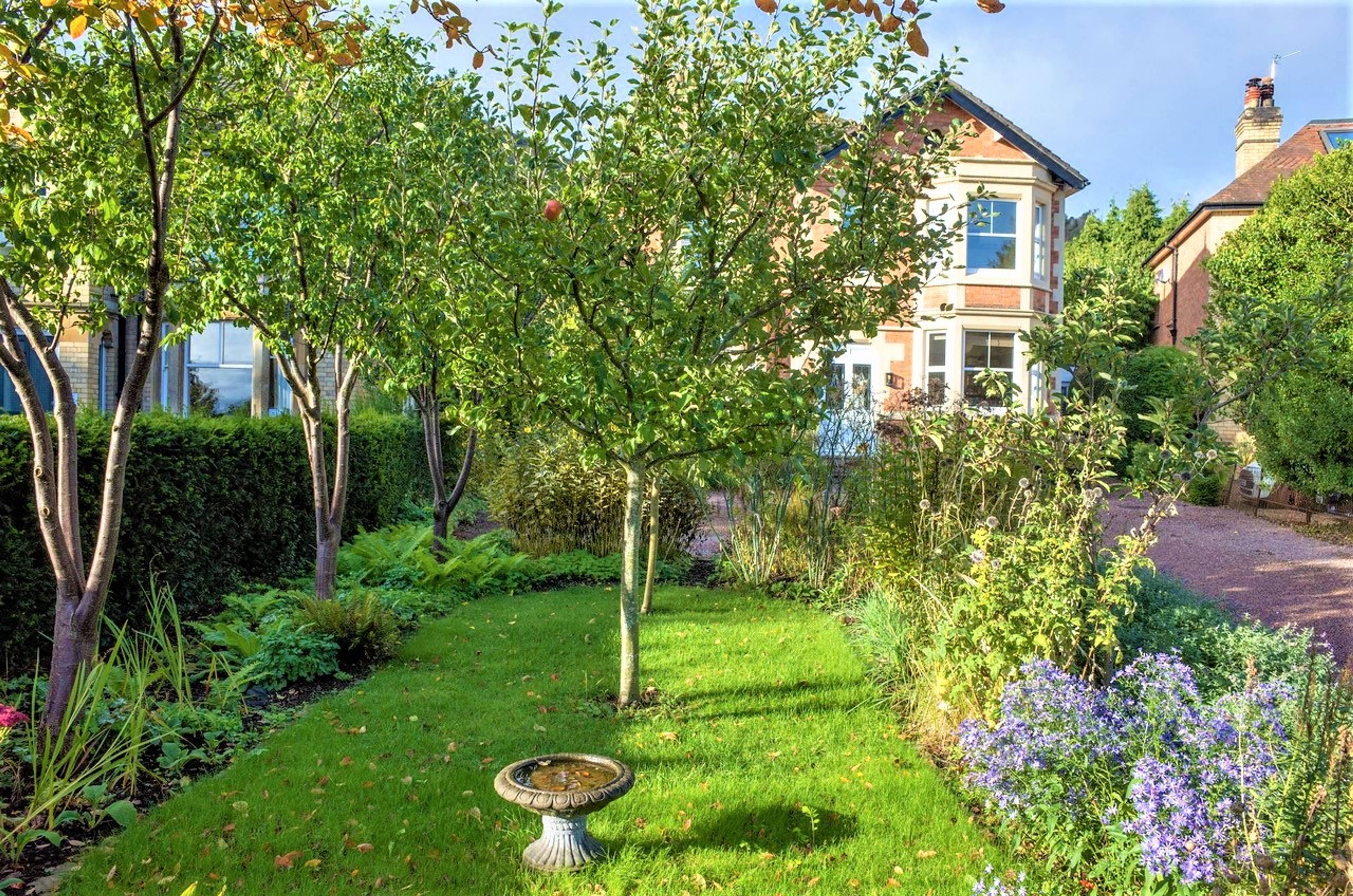 Front Garden