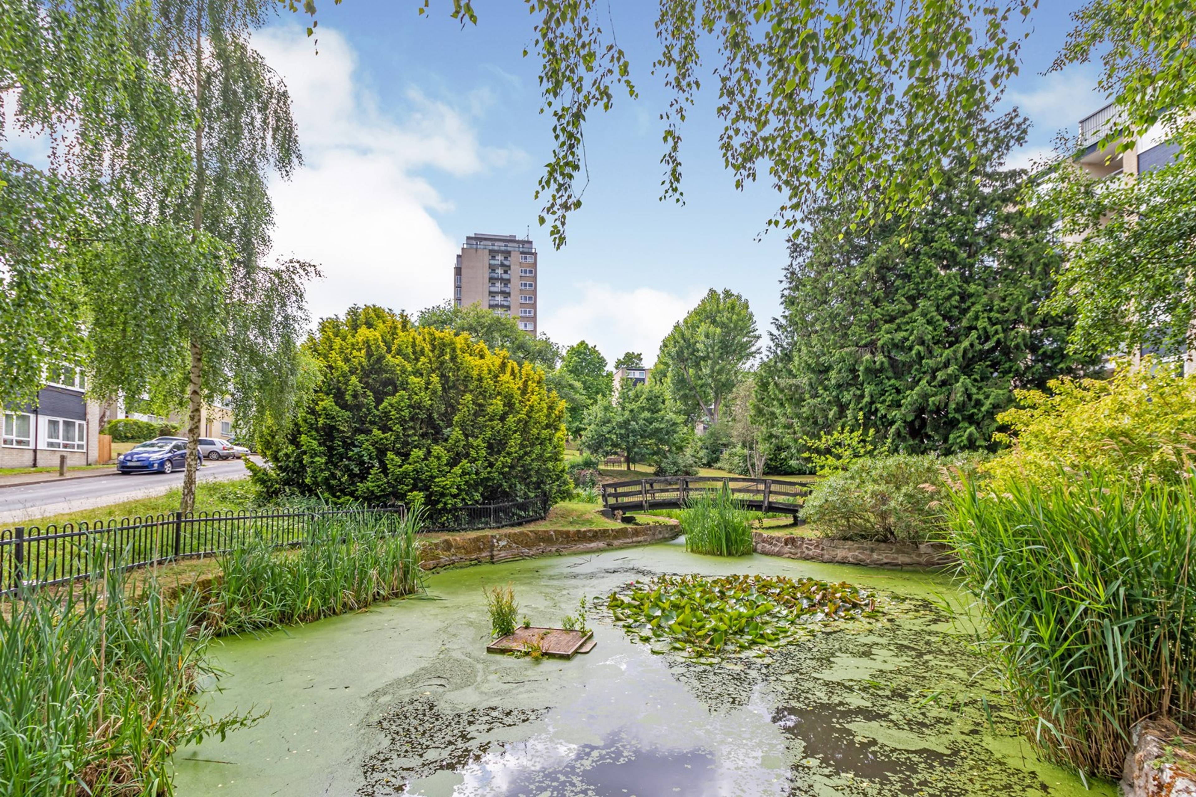 Communal Gardens