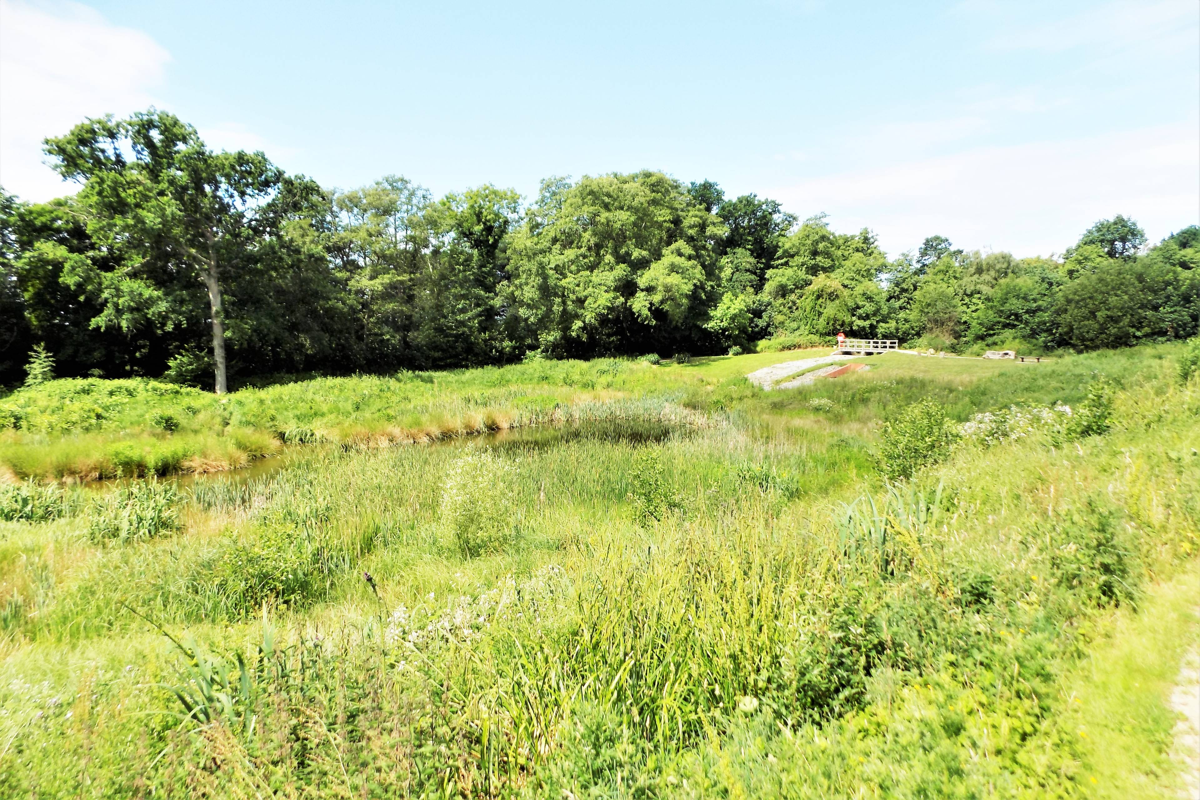Surrounding Area