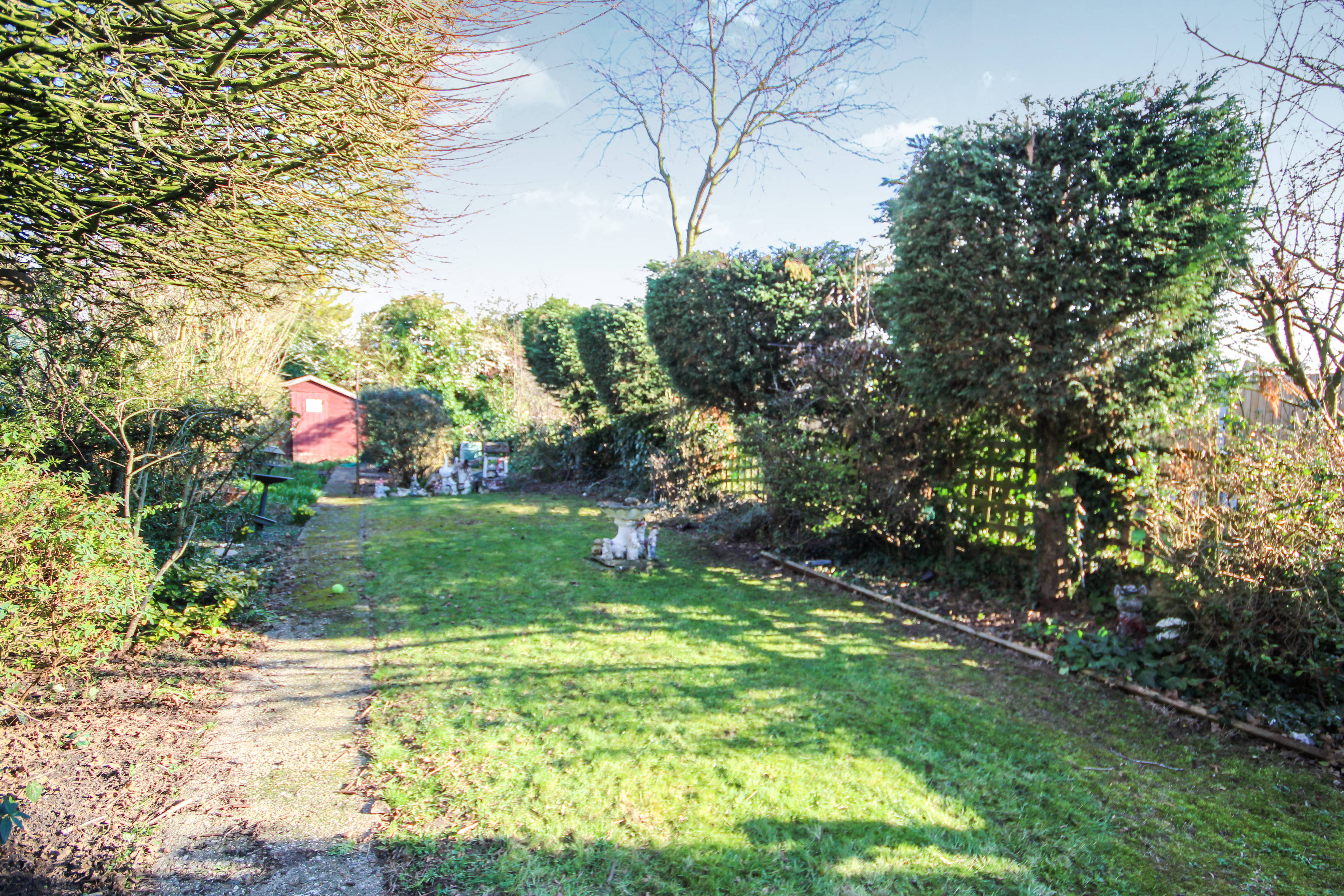 Garden