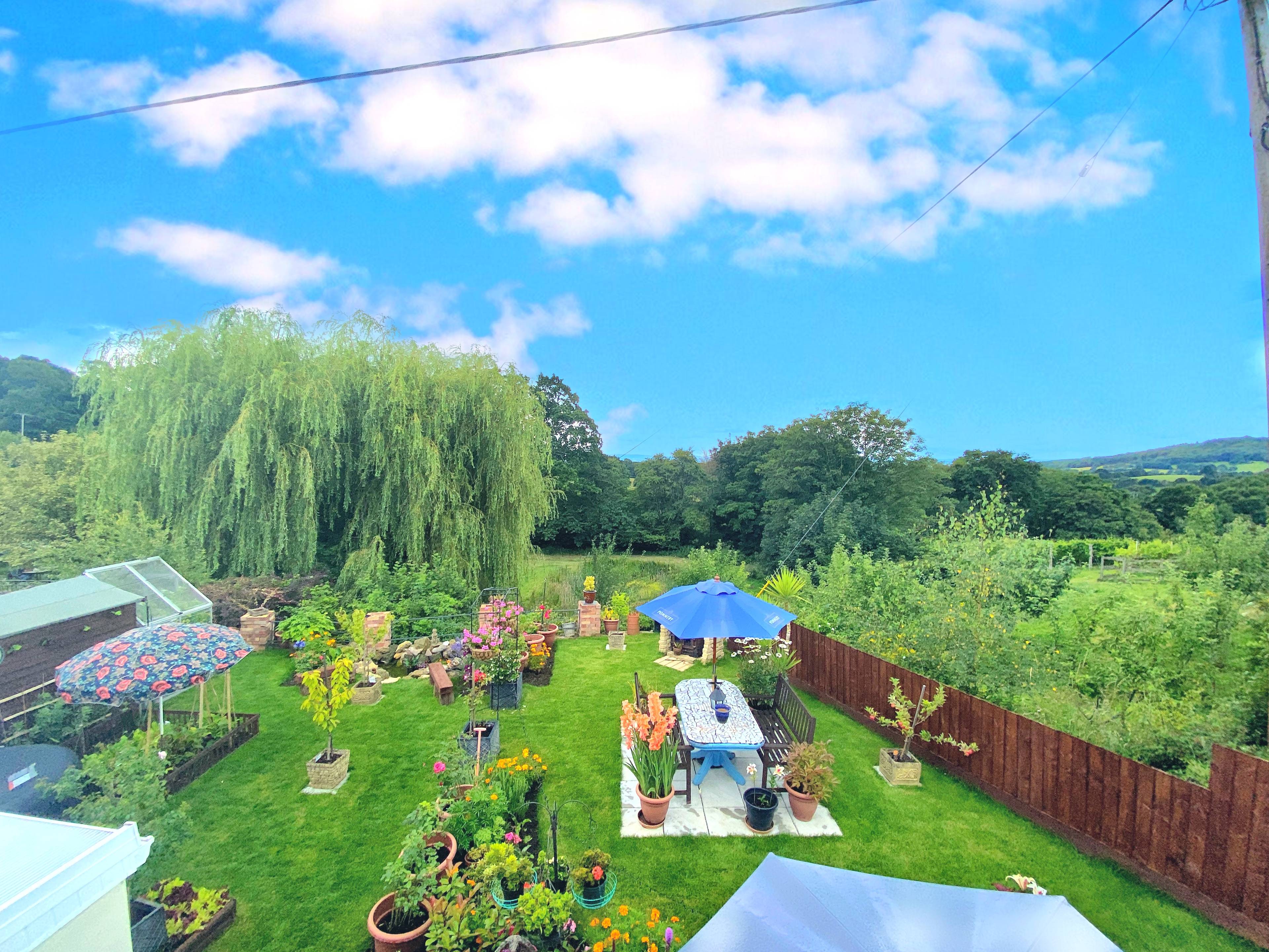 Rear View