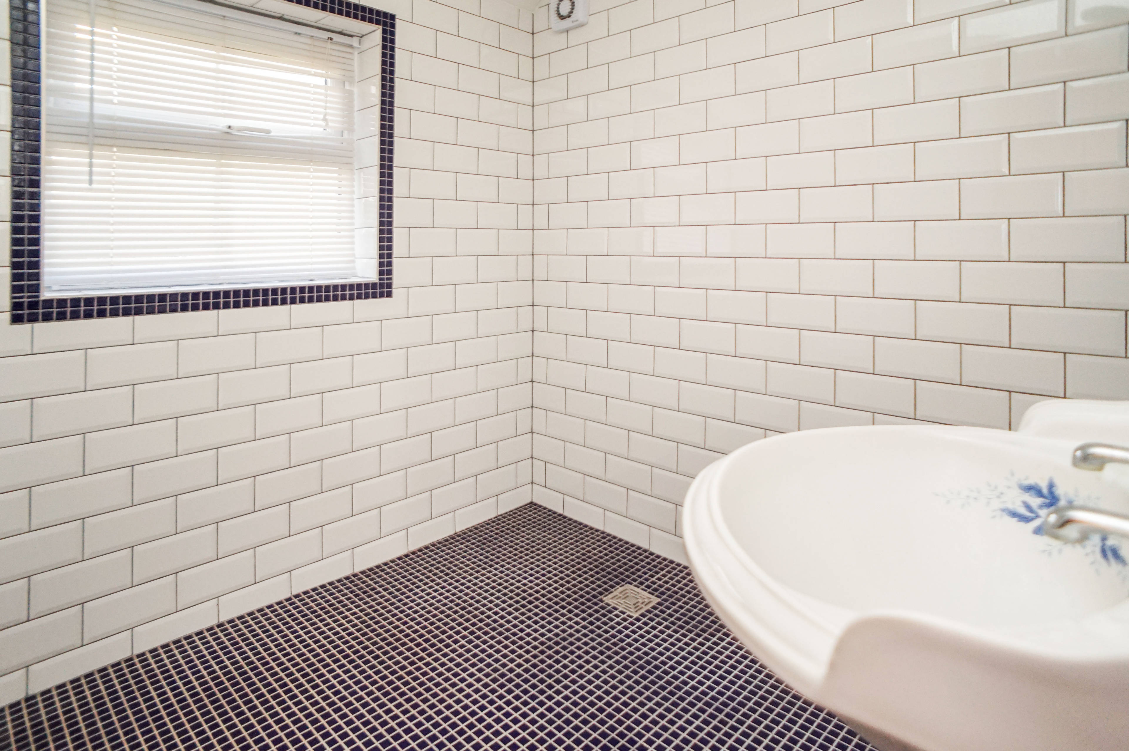 Downstairs Shower