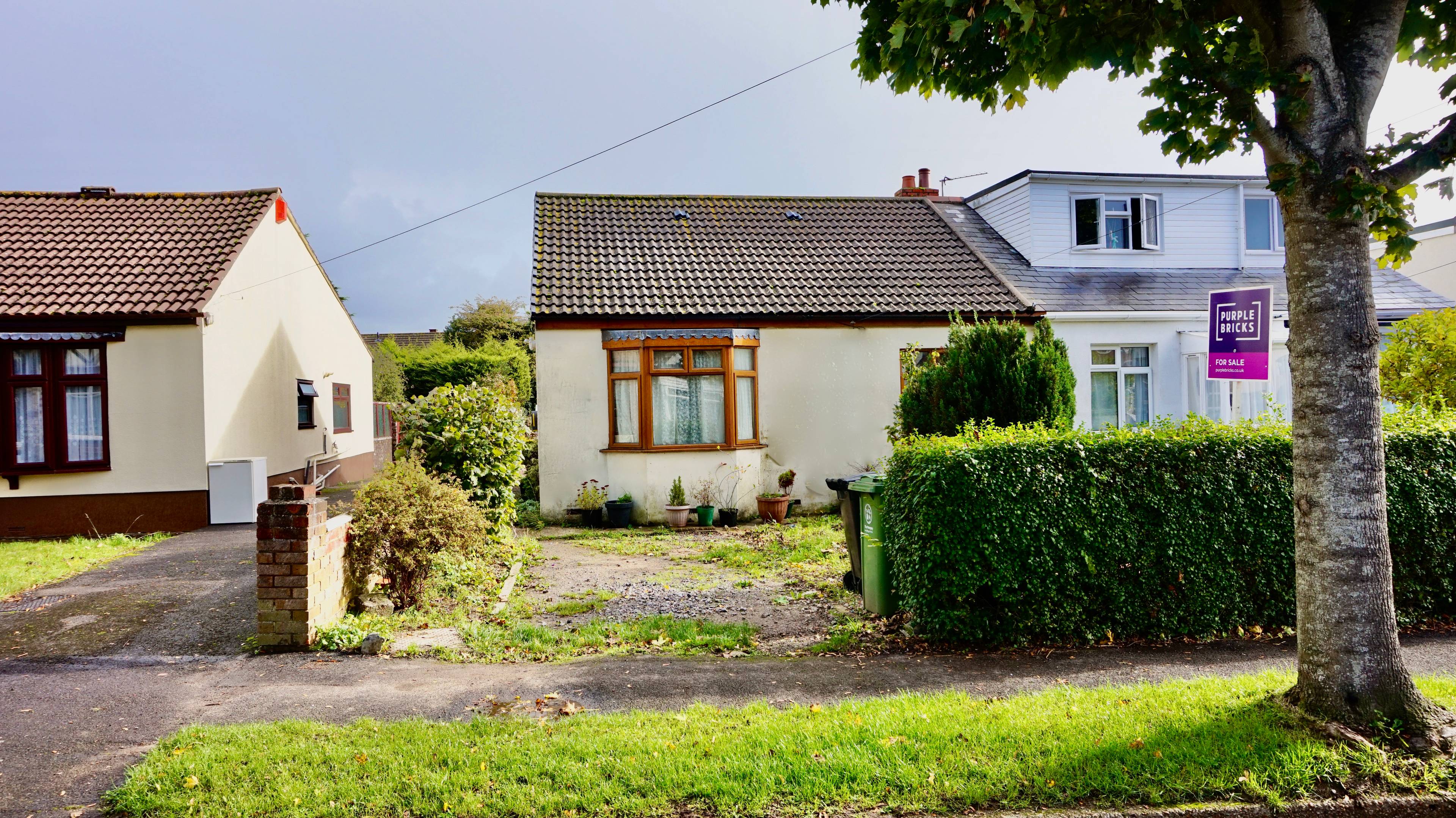The Property