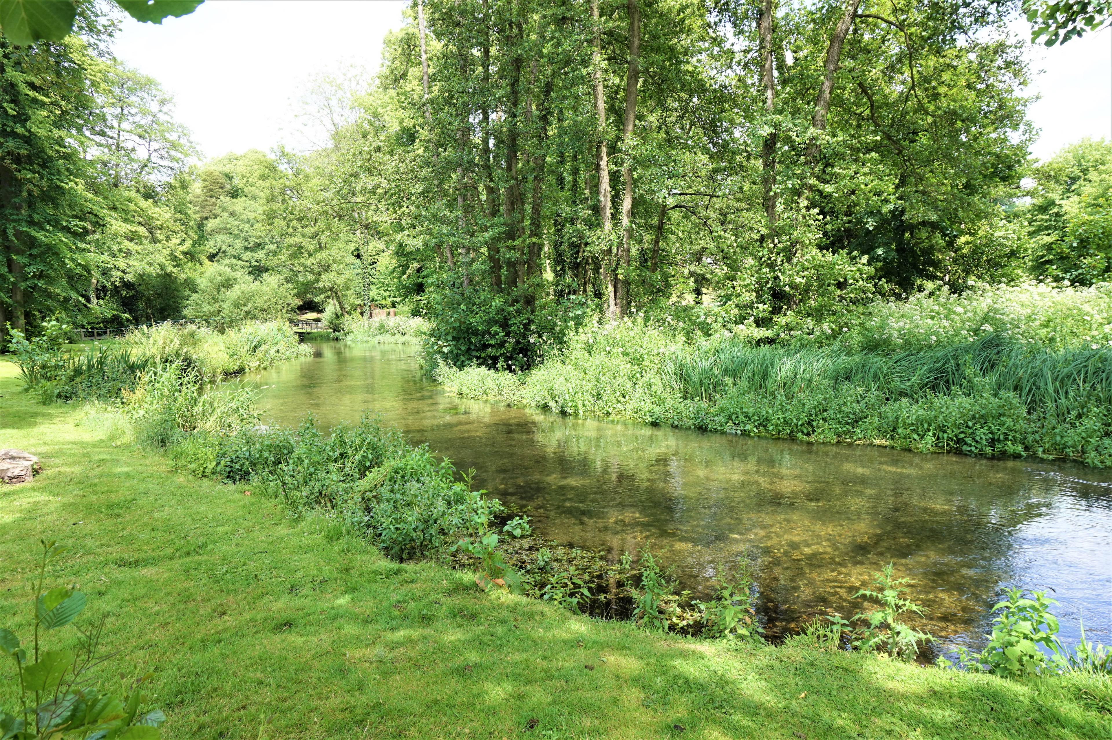 Communal Gardens