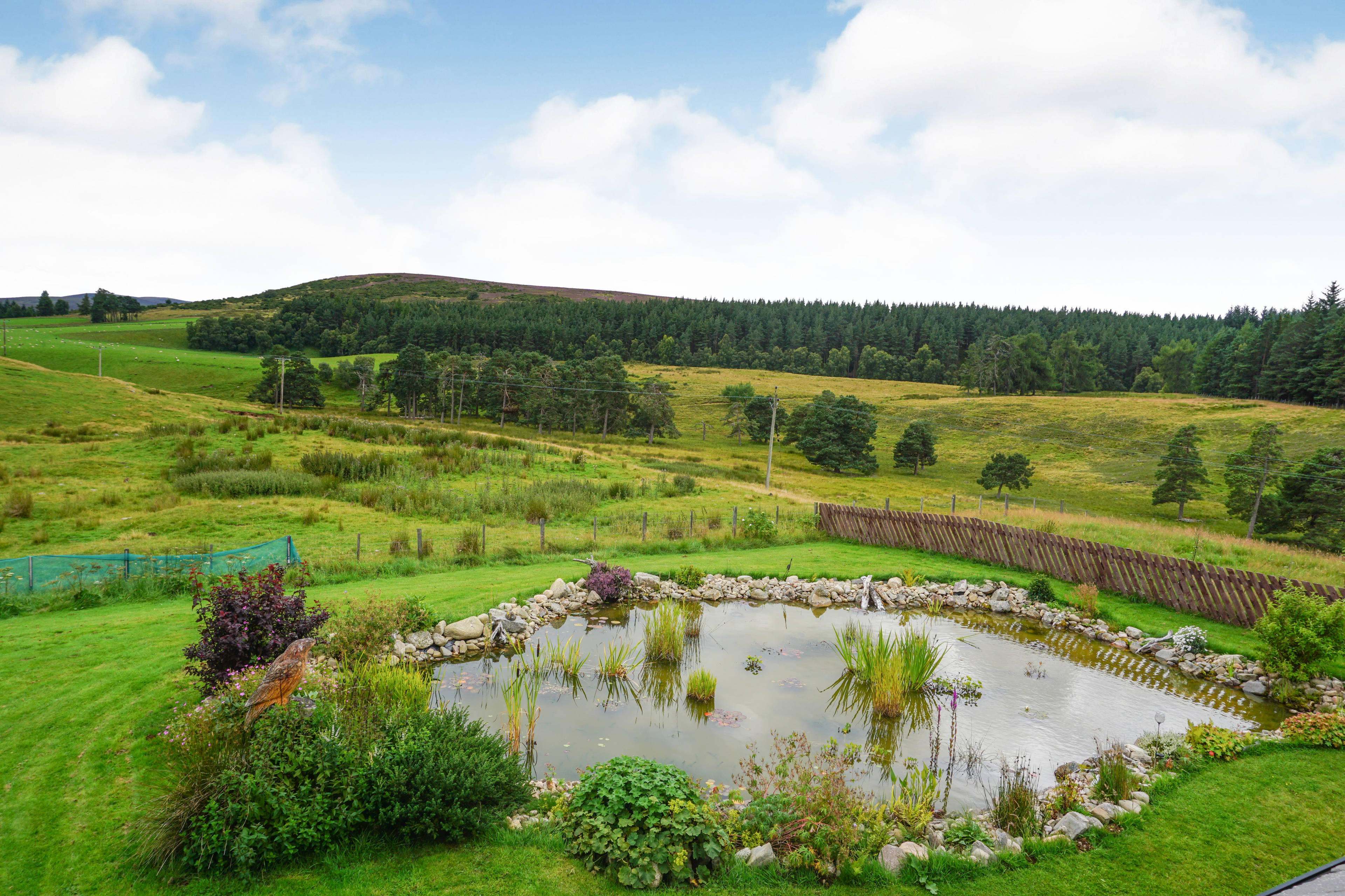 Pond