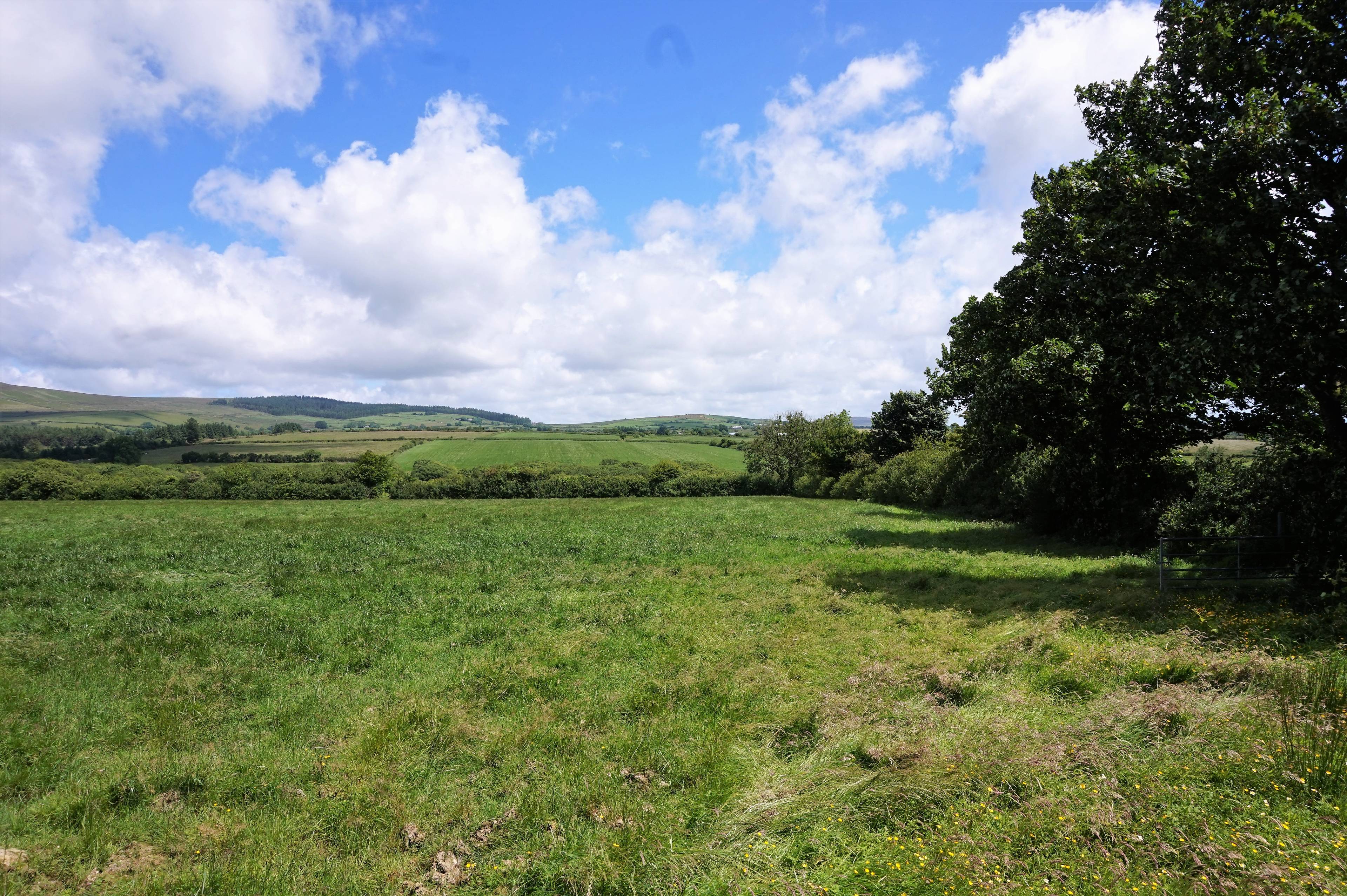 Land