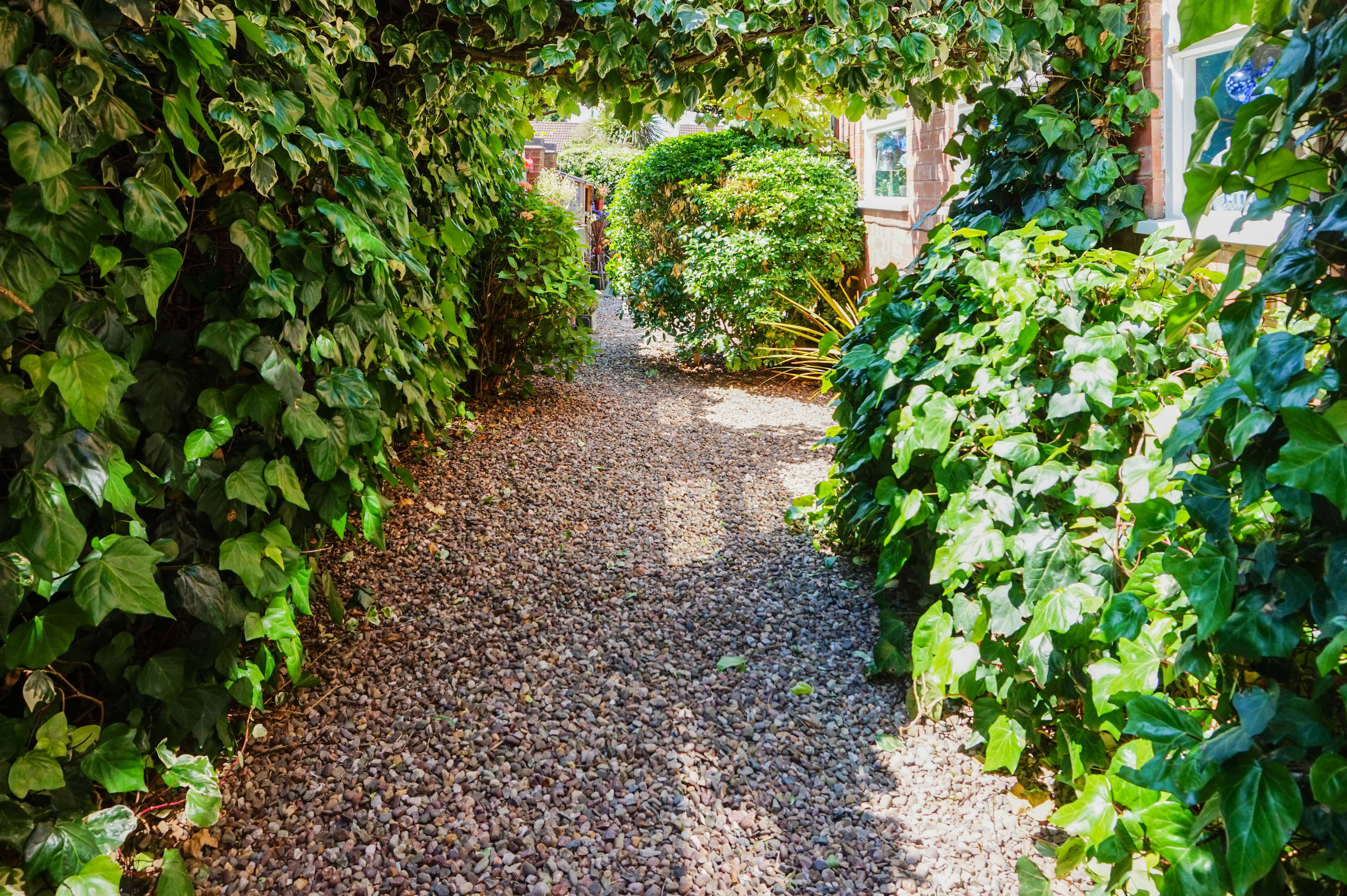 Side Garden