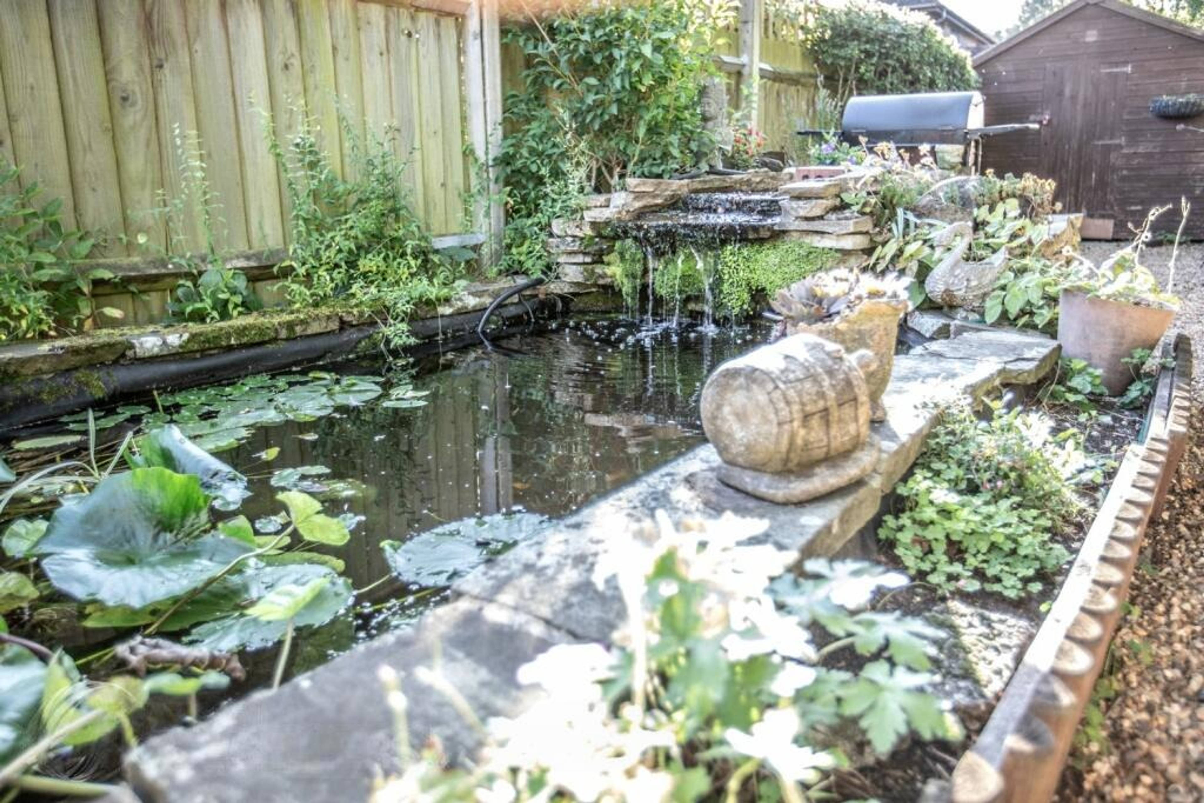 Lilly Pond