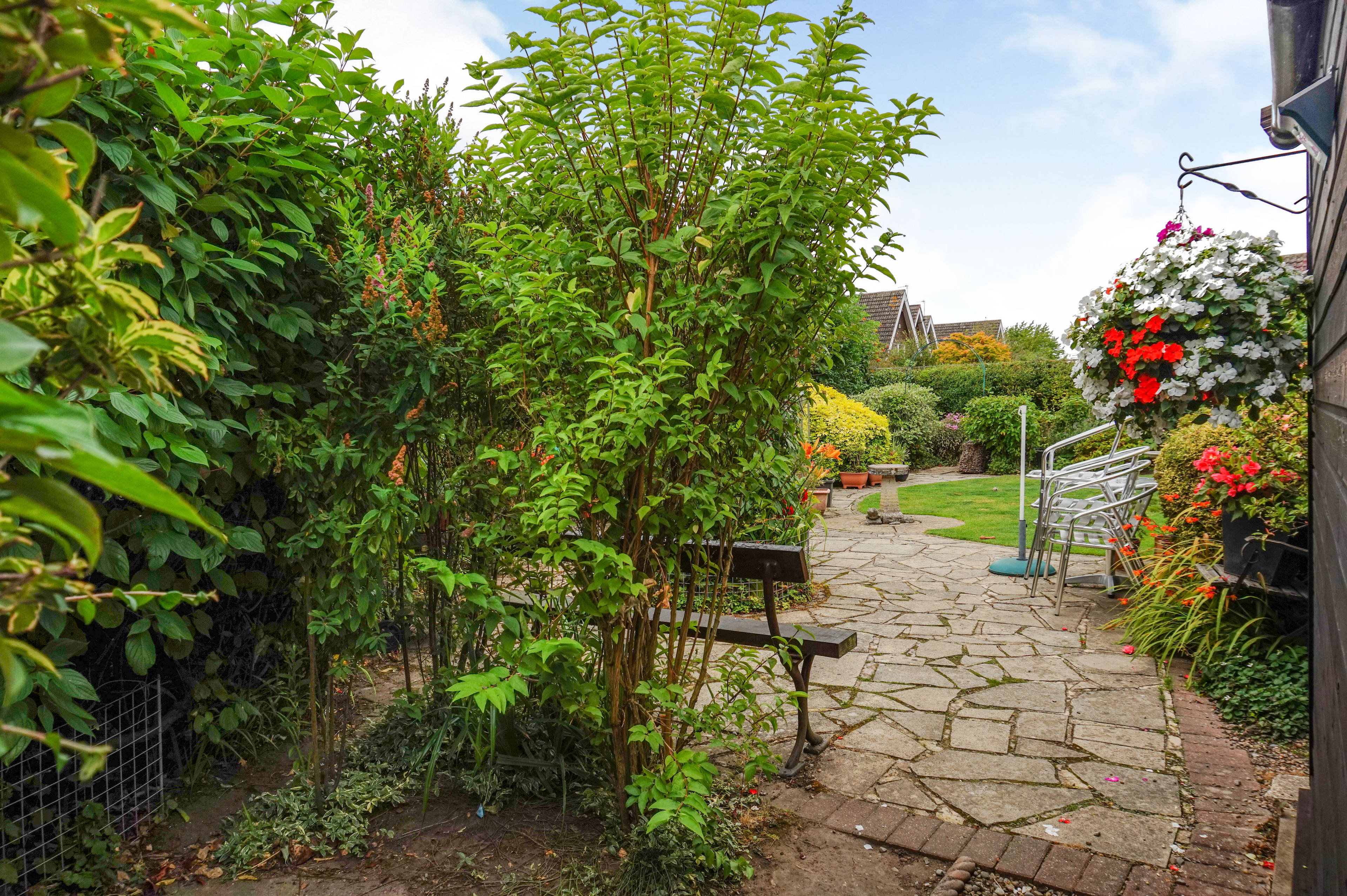 Side Garden
