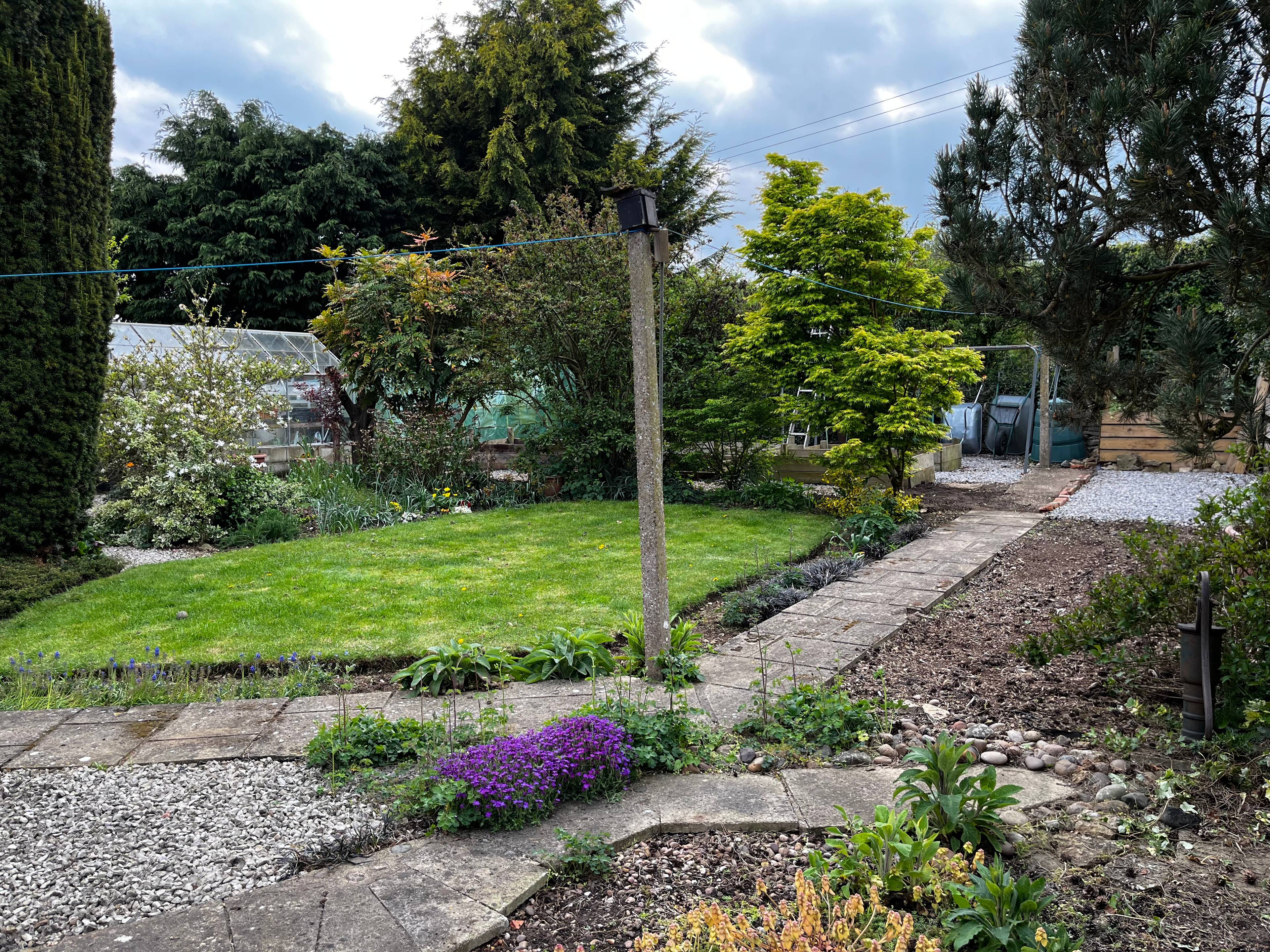 Site Rear