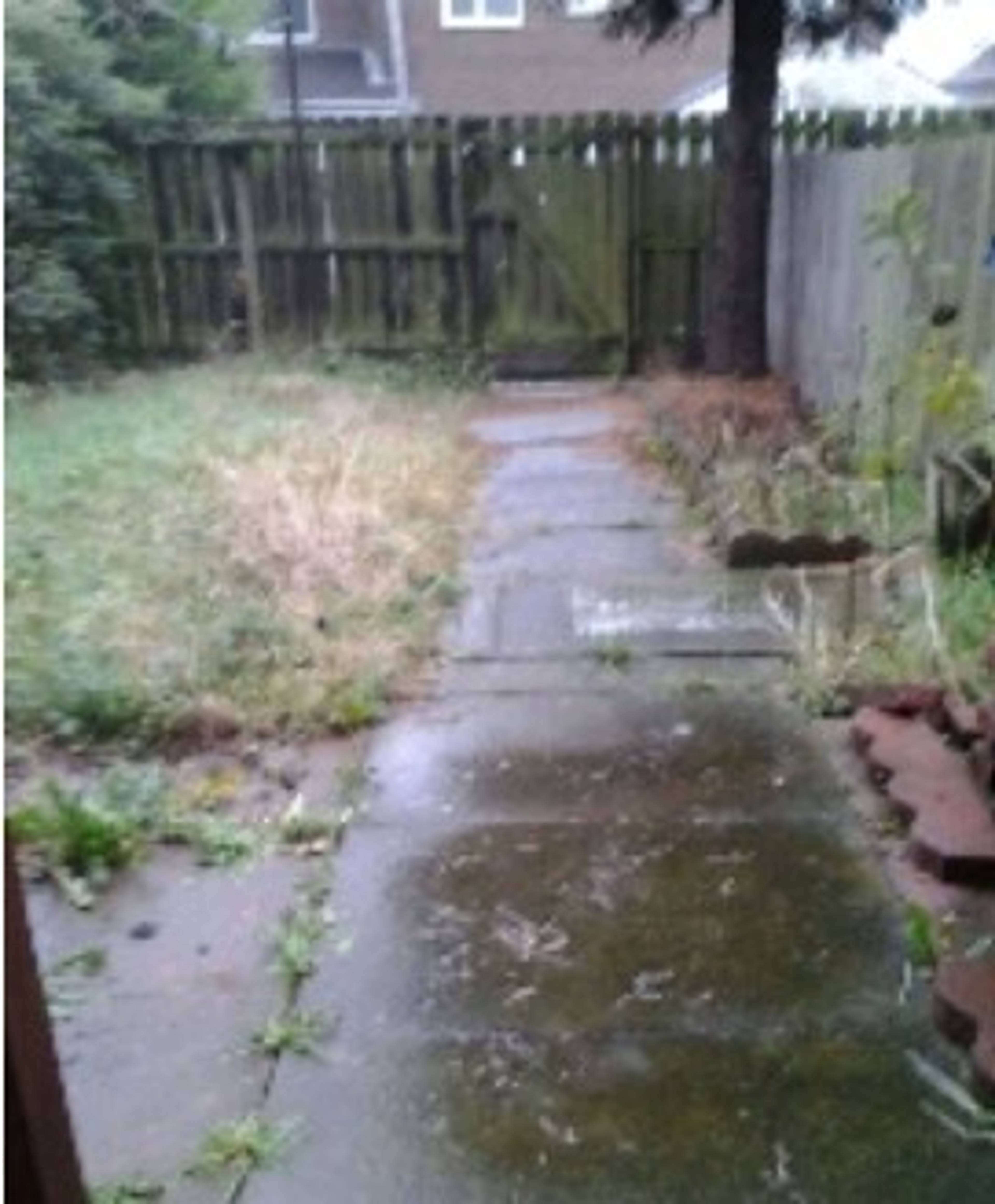 garden