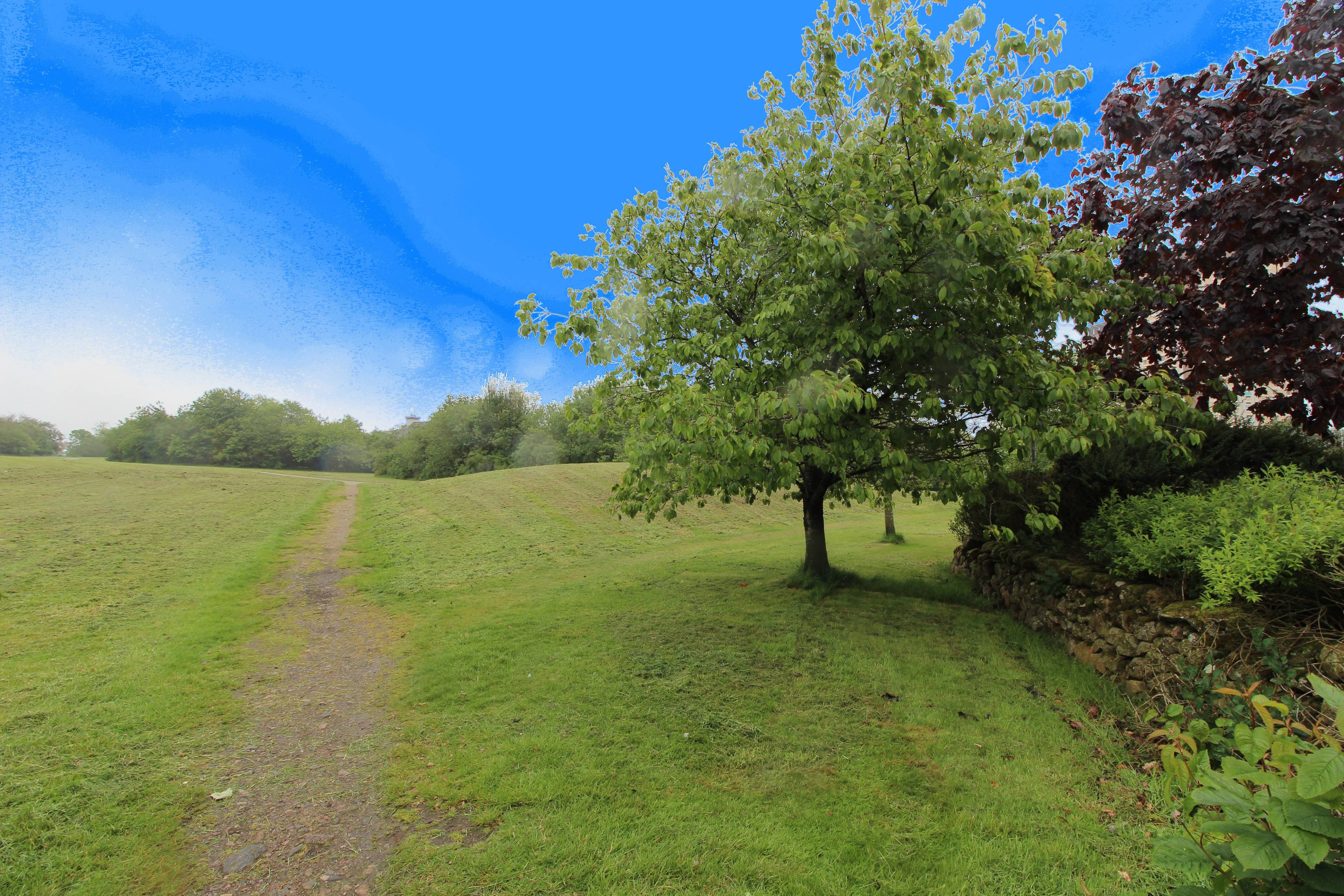 Nearby Park