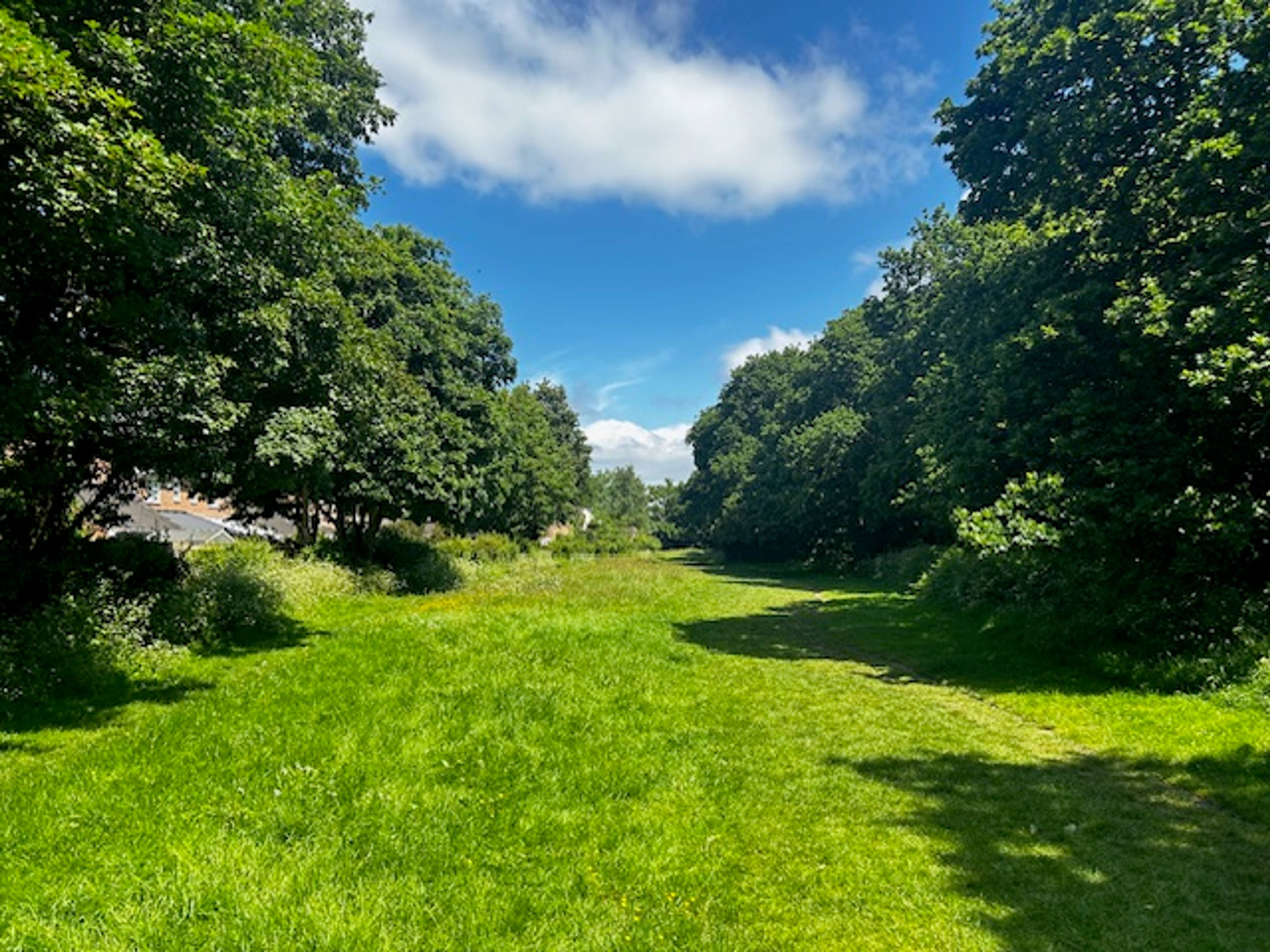 Woodland