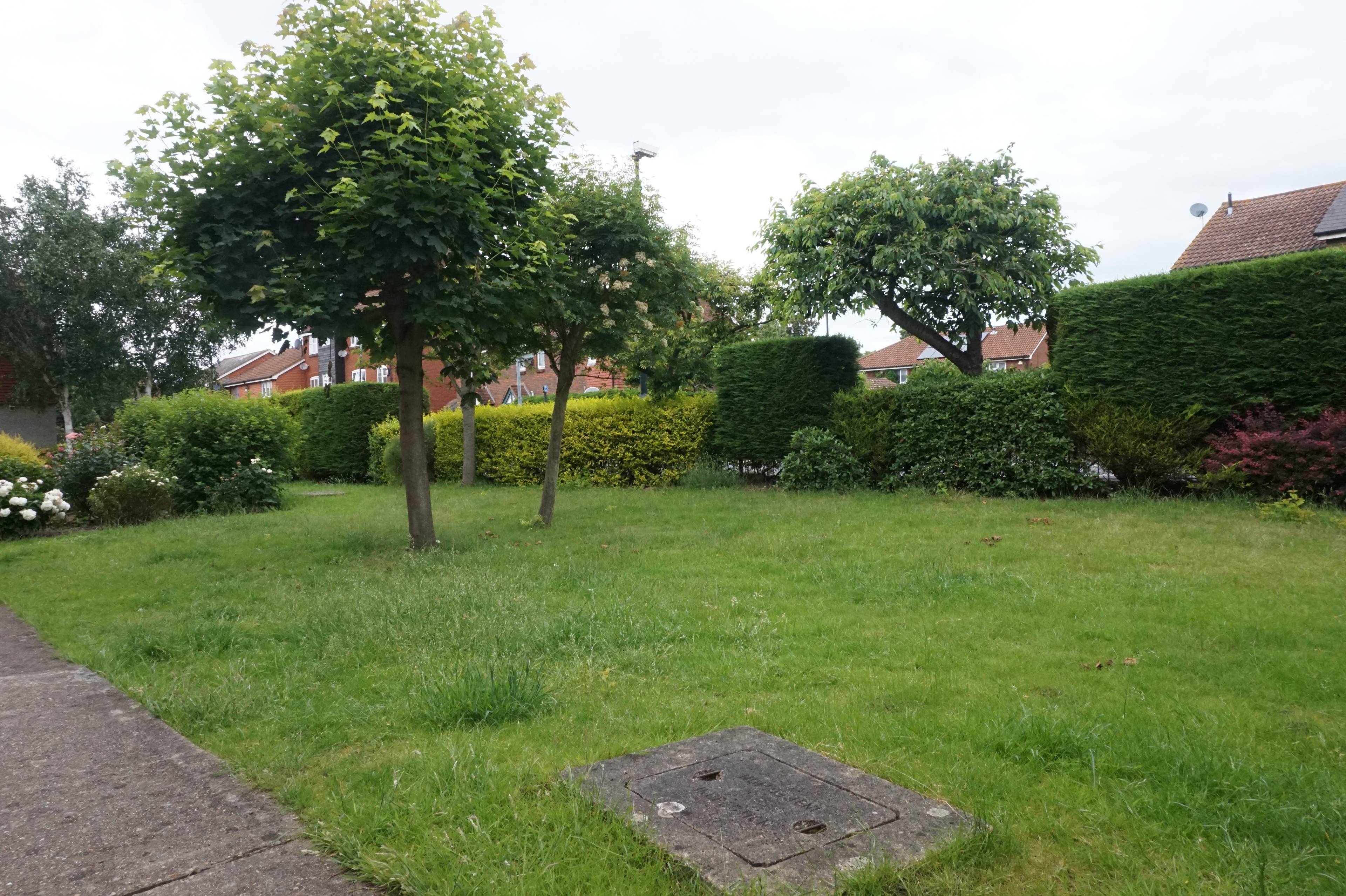 Communal Gardens