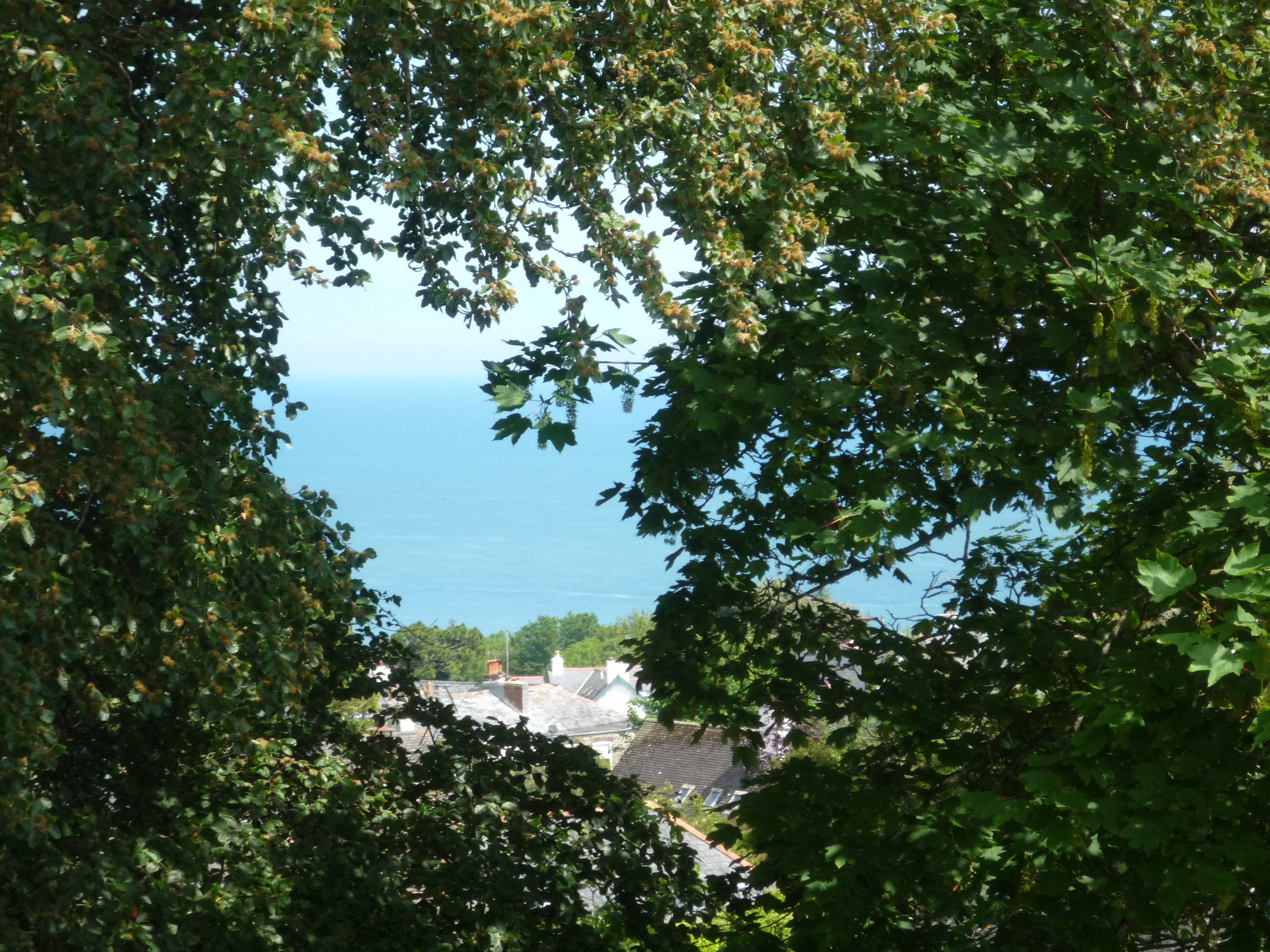 Sea View
