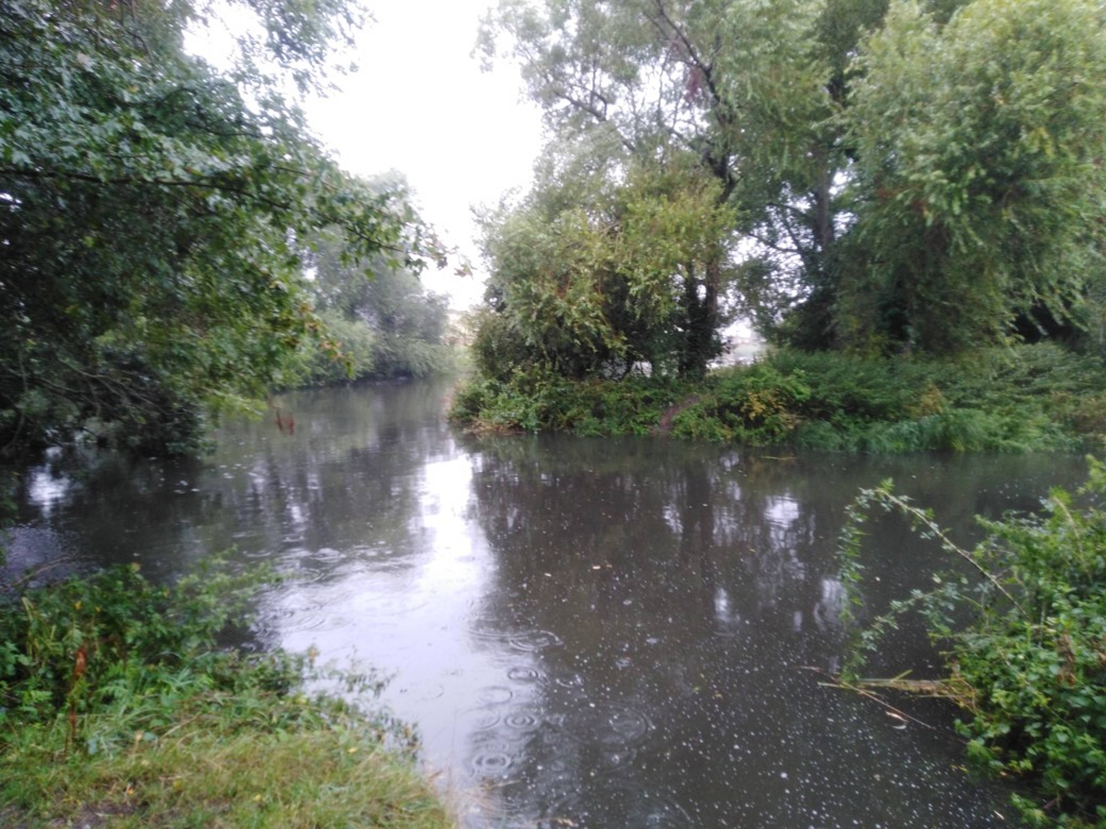 Nearby River