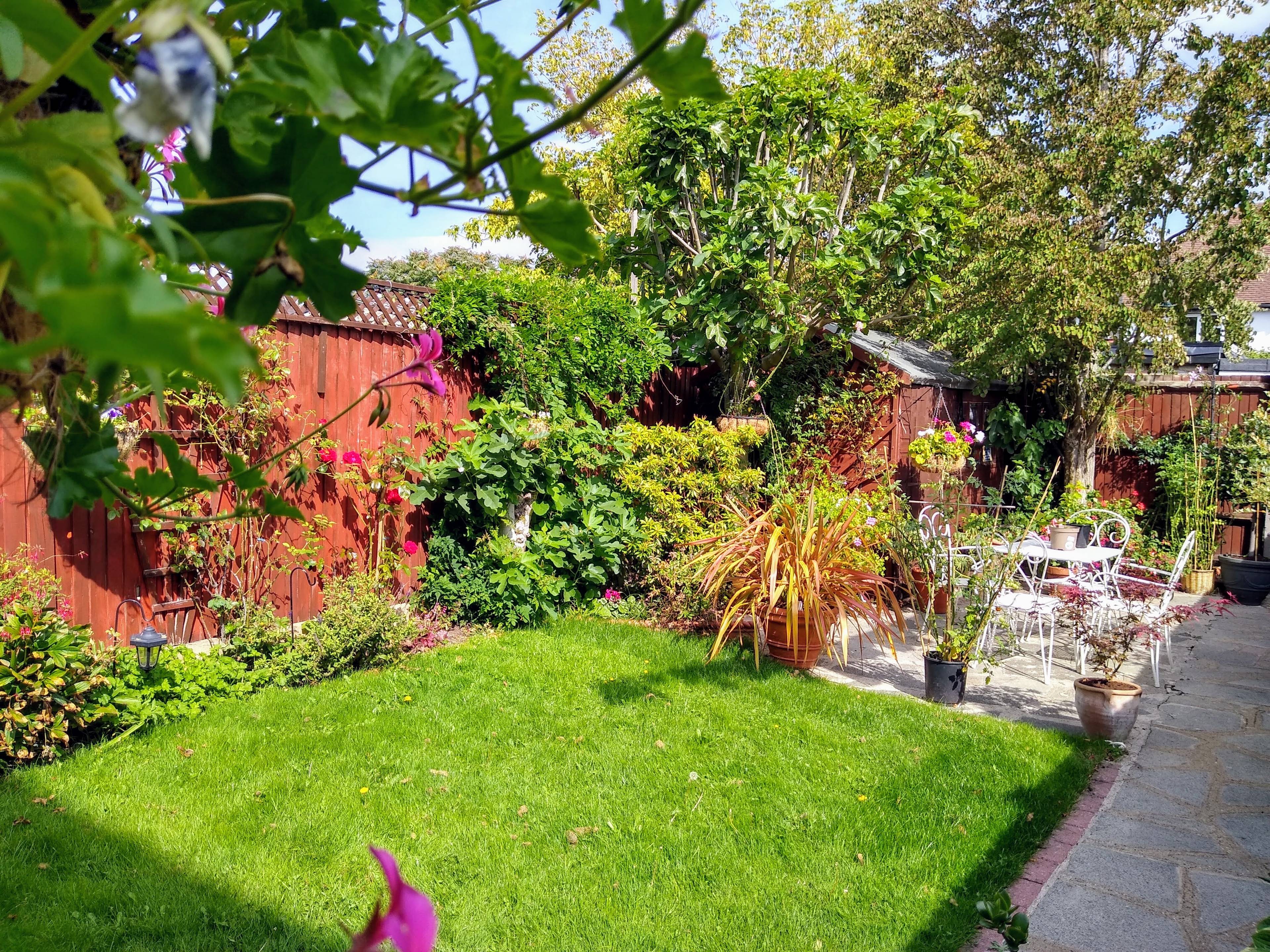 garden