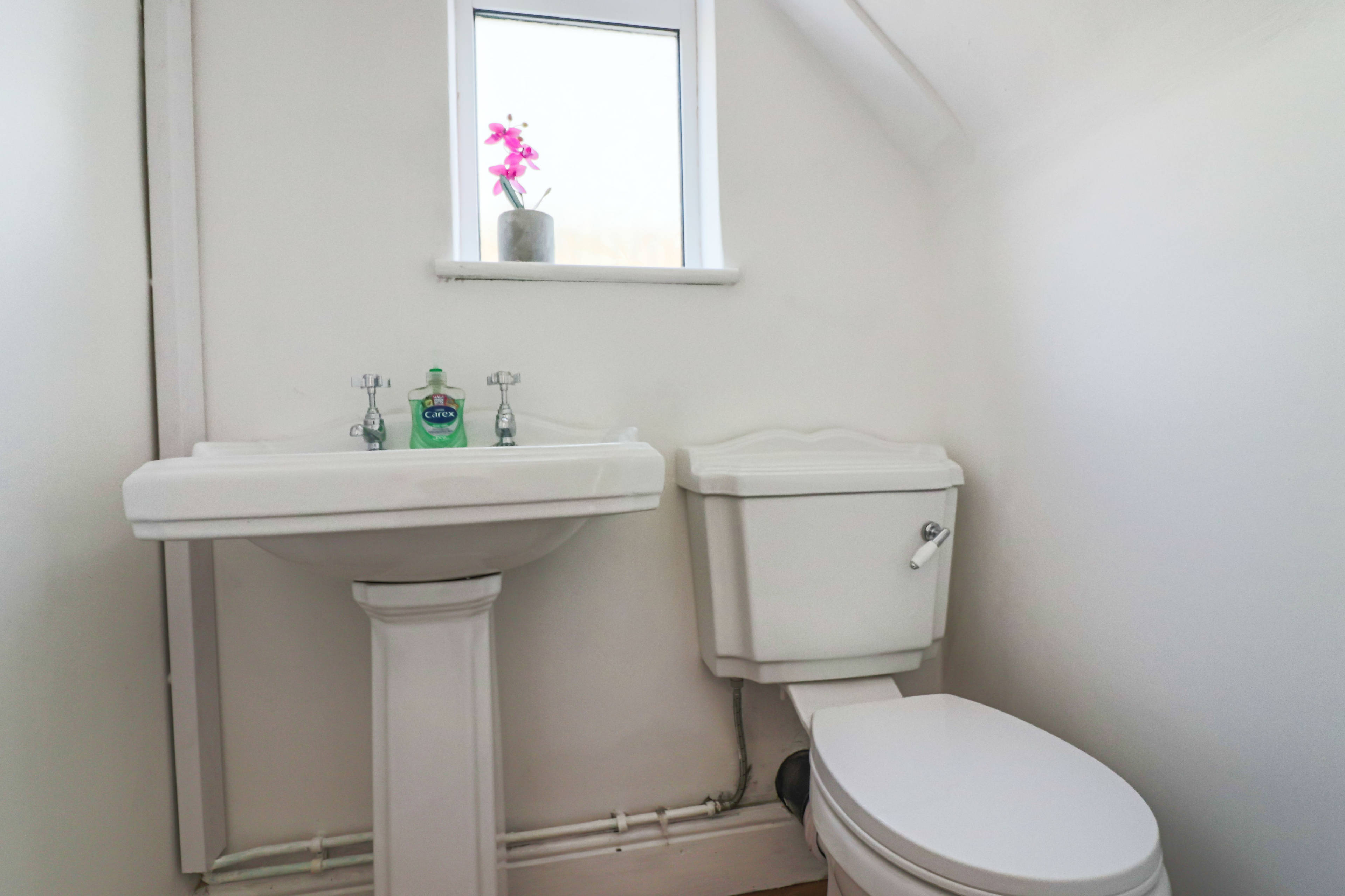 Downstairs Cloakroom