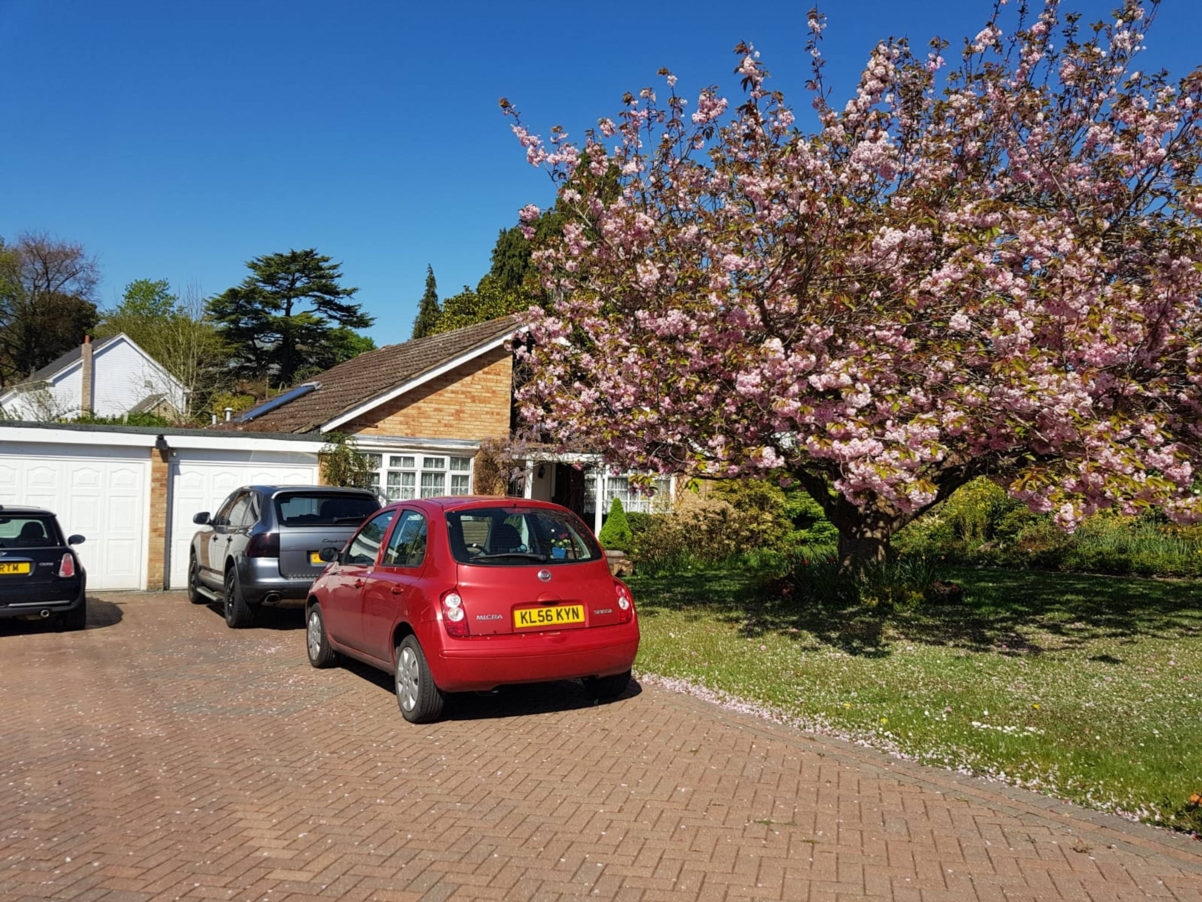 Driveway