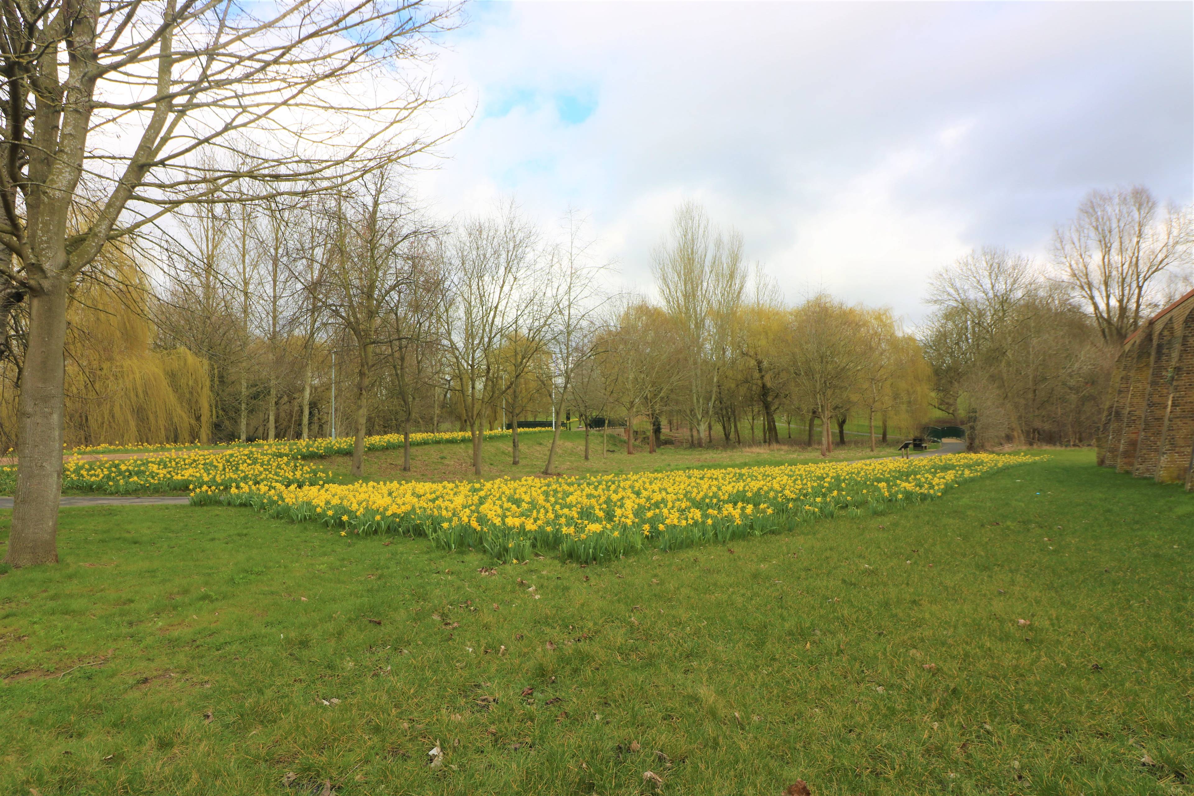 Nearby Park