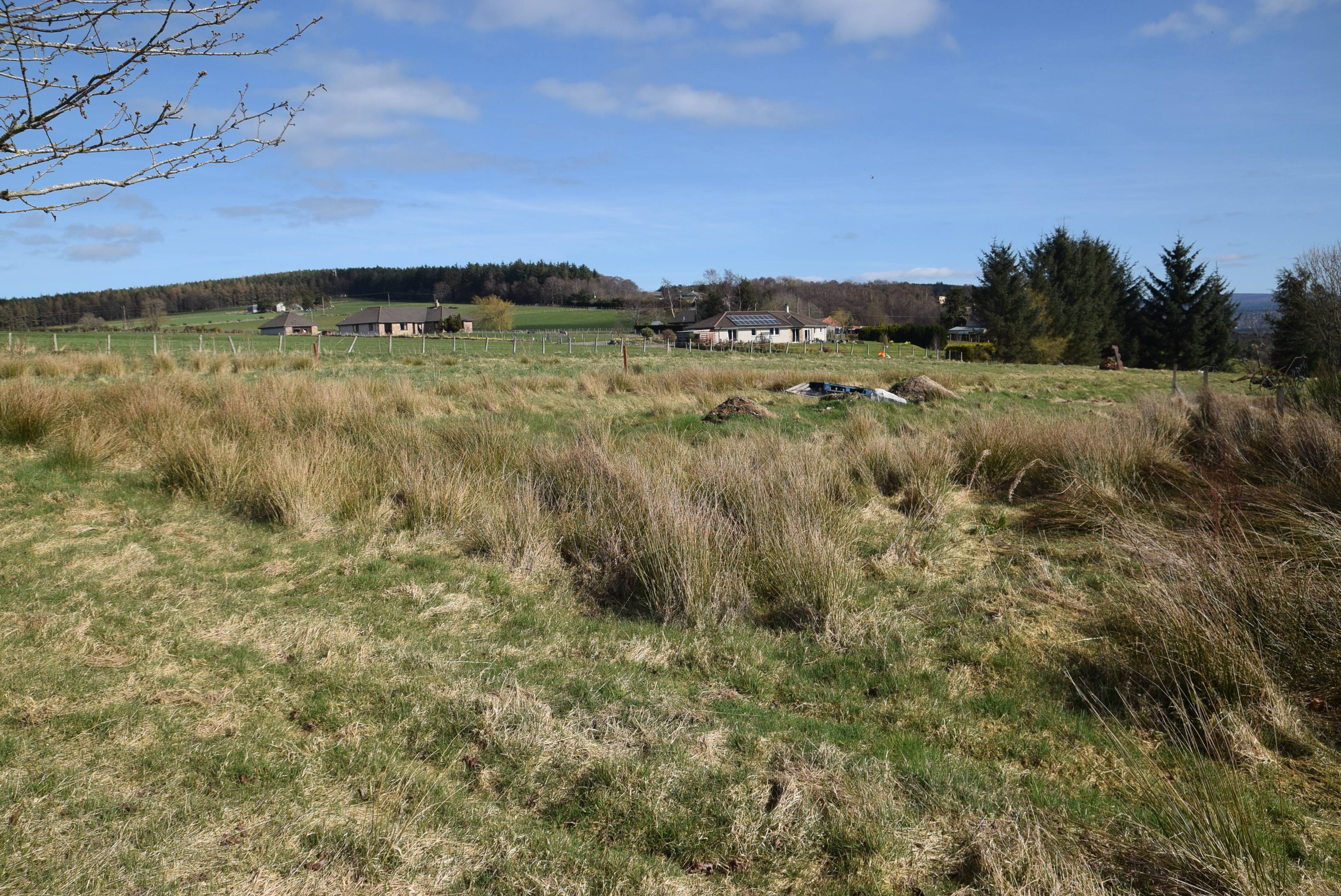 Surrounding Area
