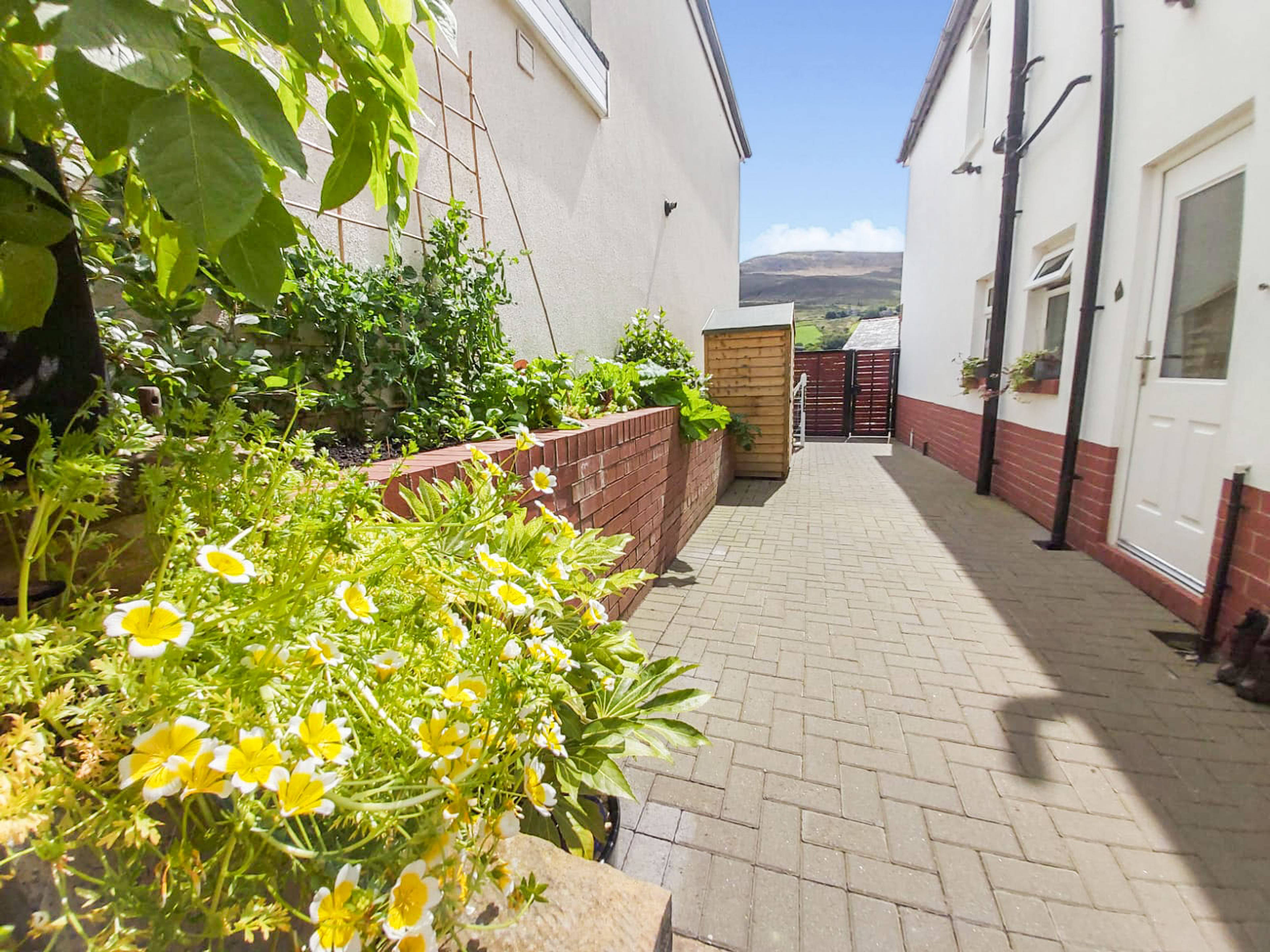 Side Garden