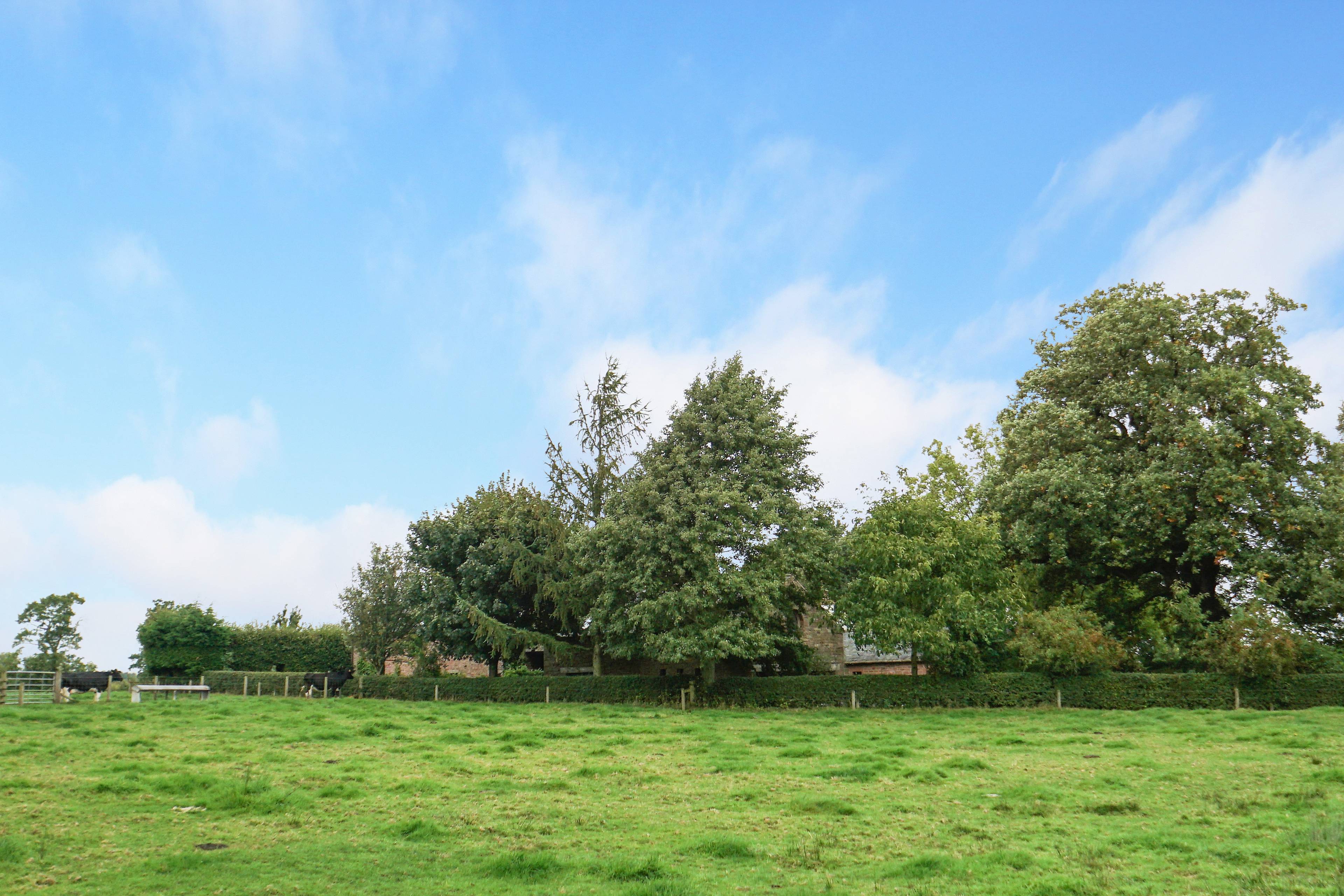 Surrounding Area