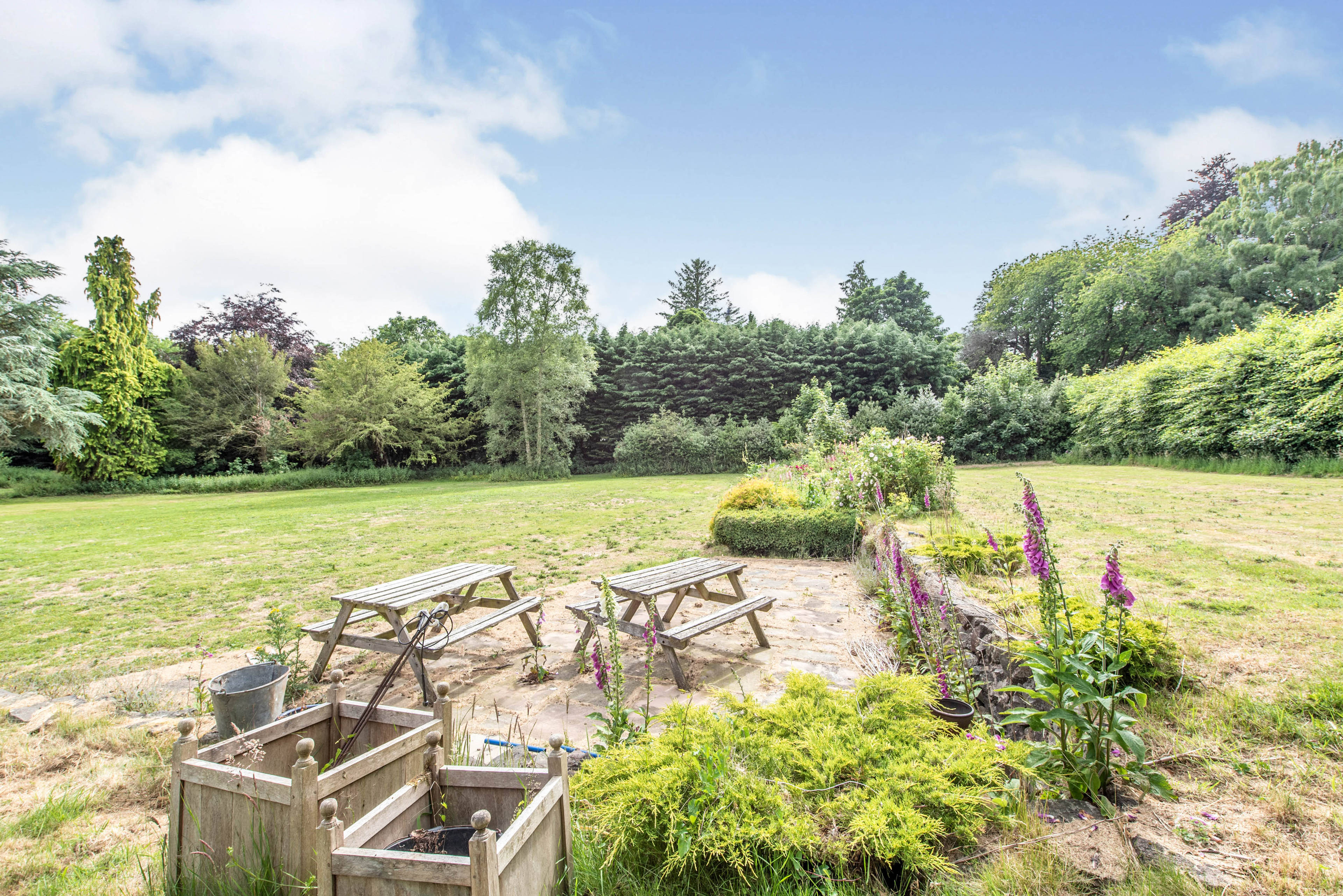 Grounds