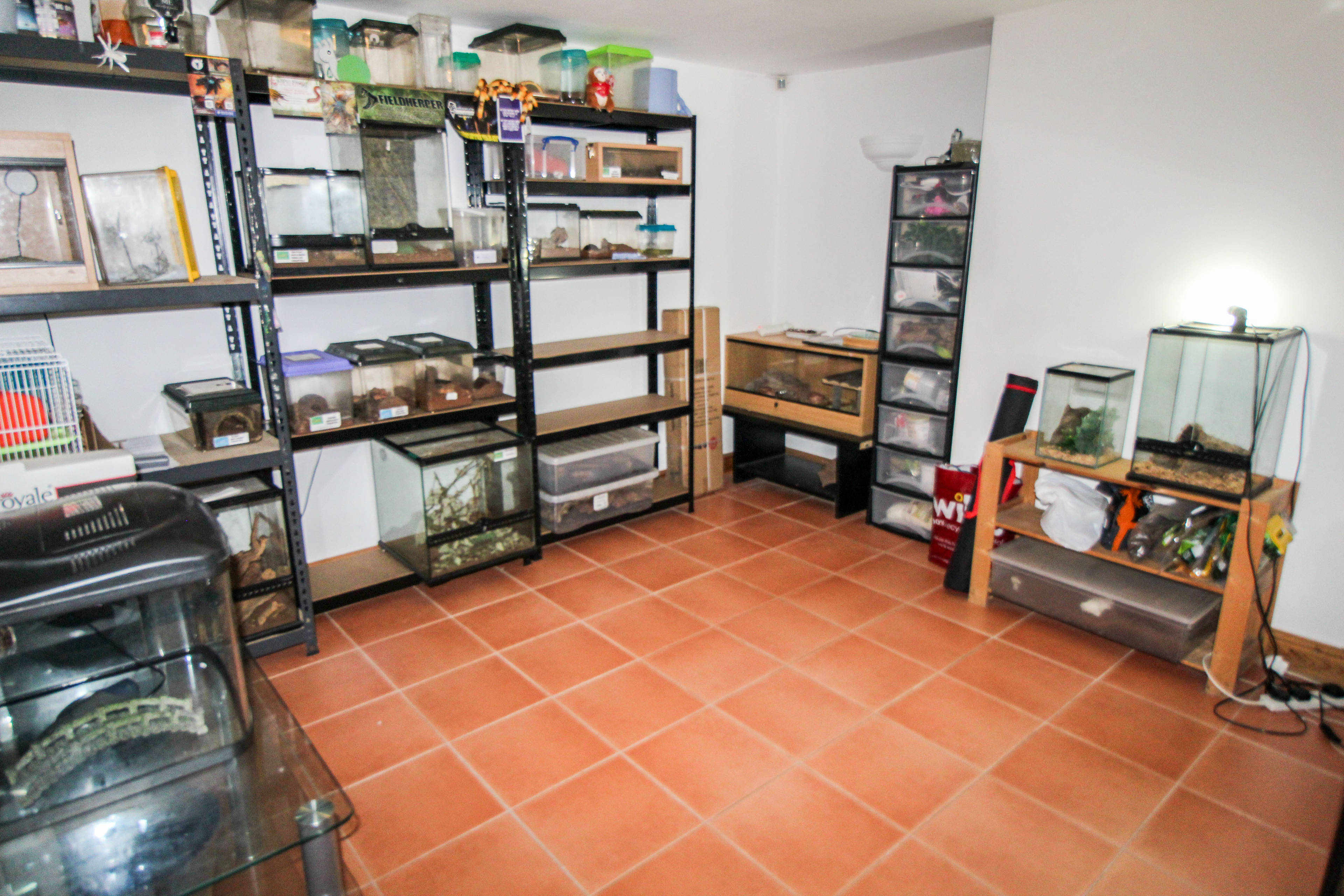 Basement