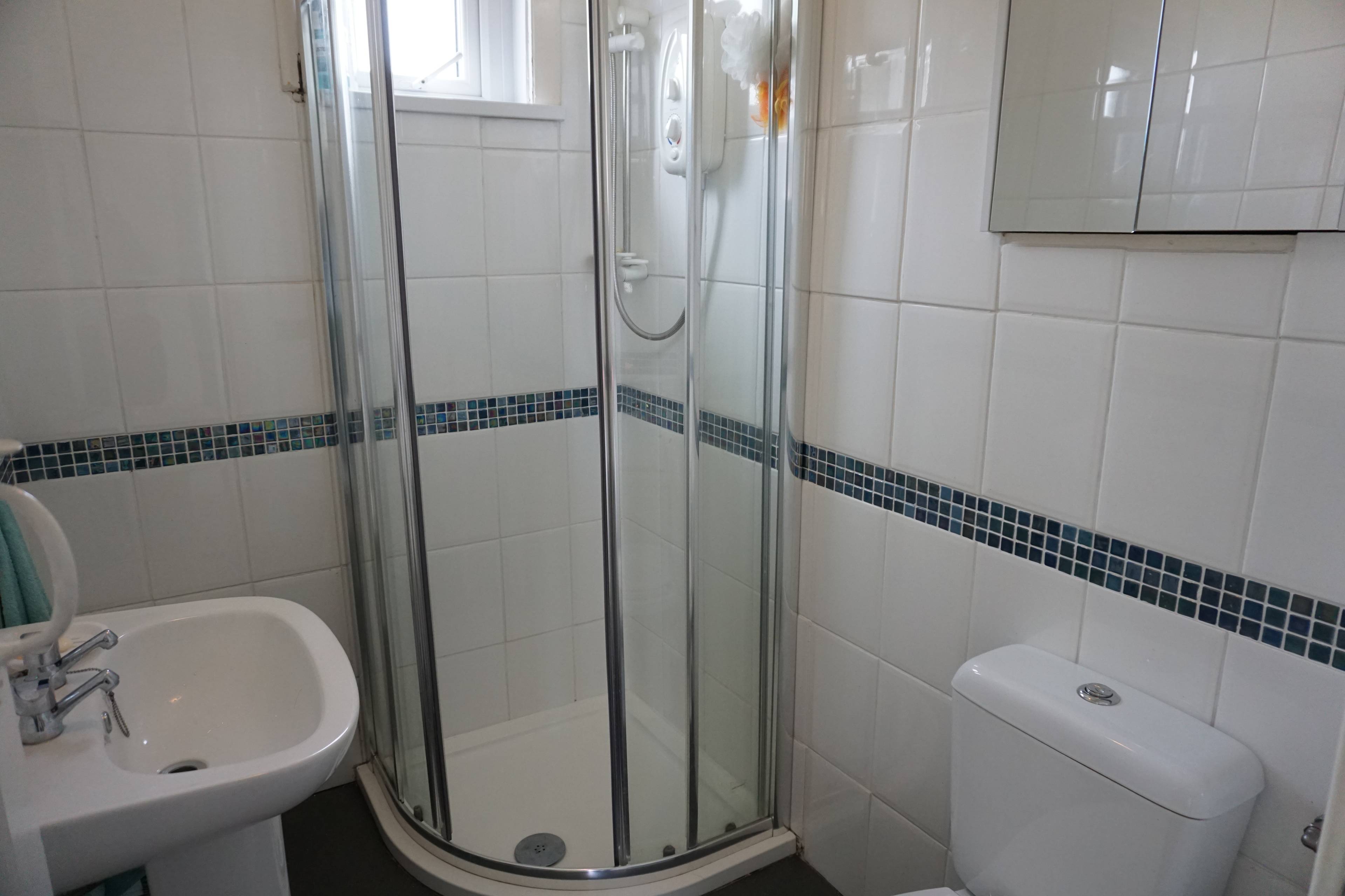 Downstairs Shower