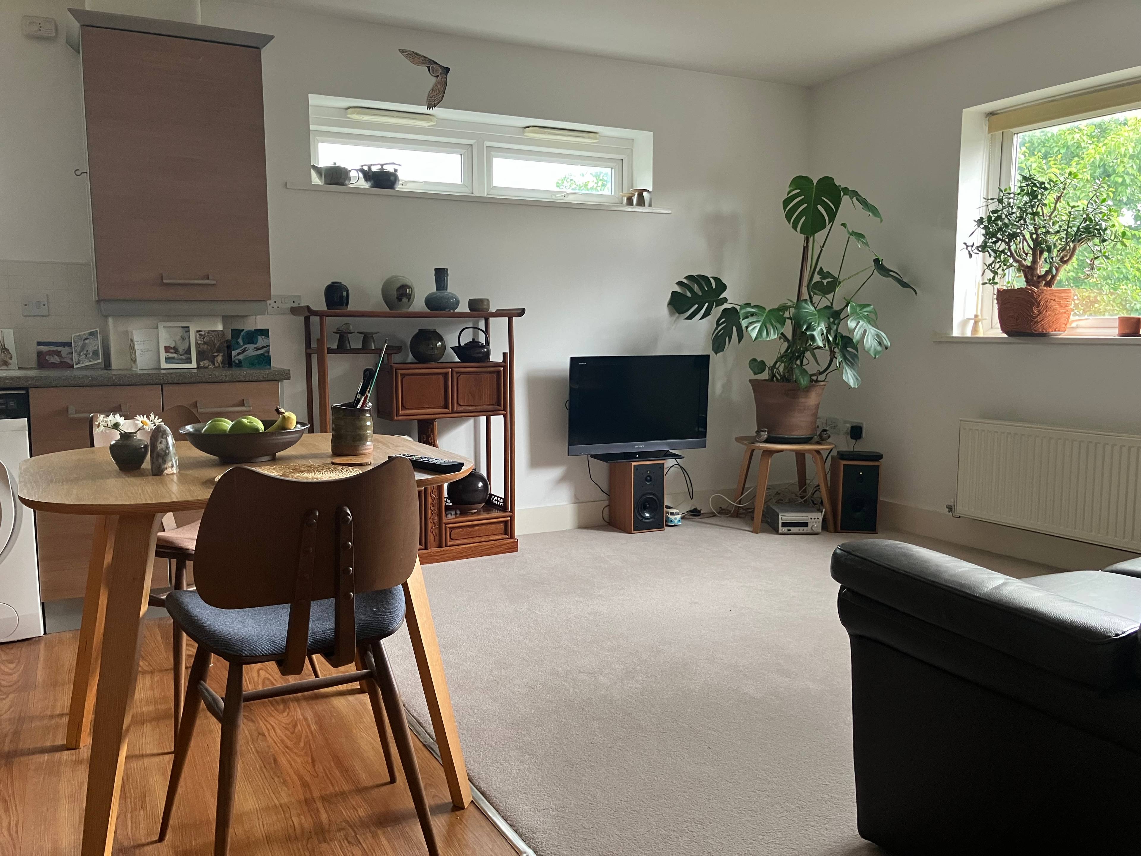 Living / Dining Room