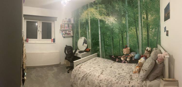 3 bedroom end of terrace house