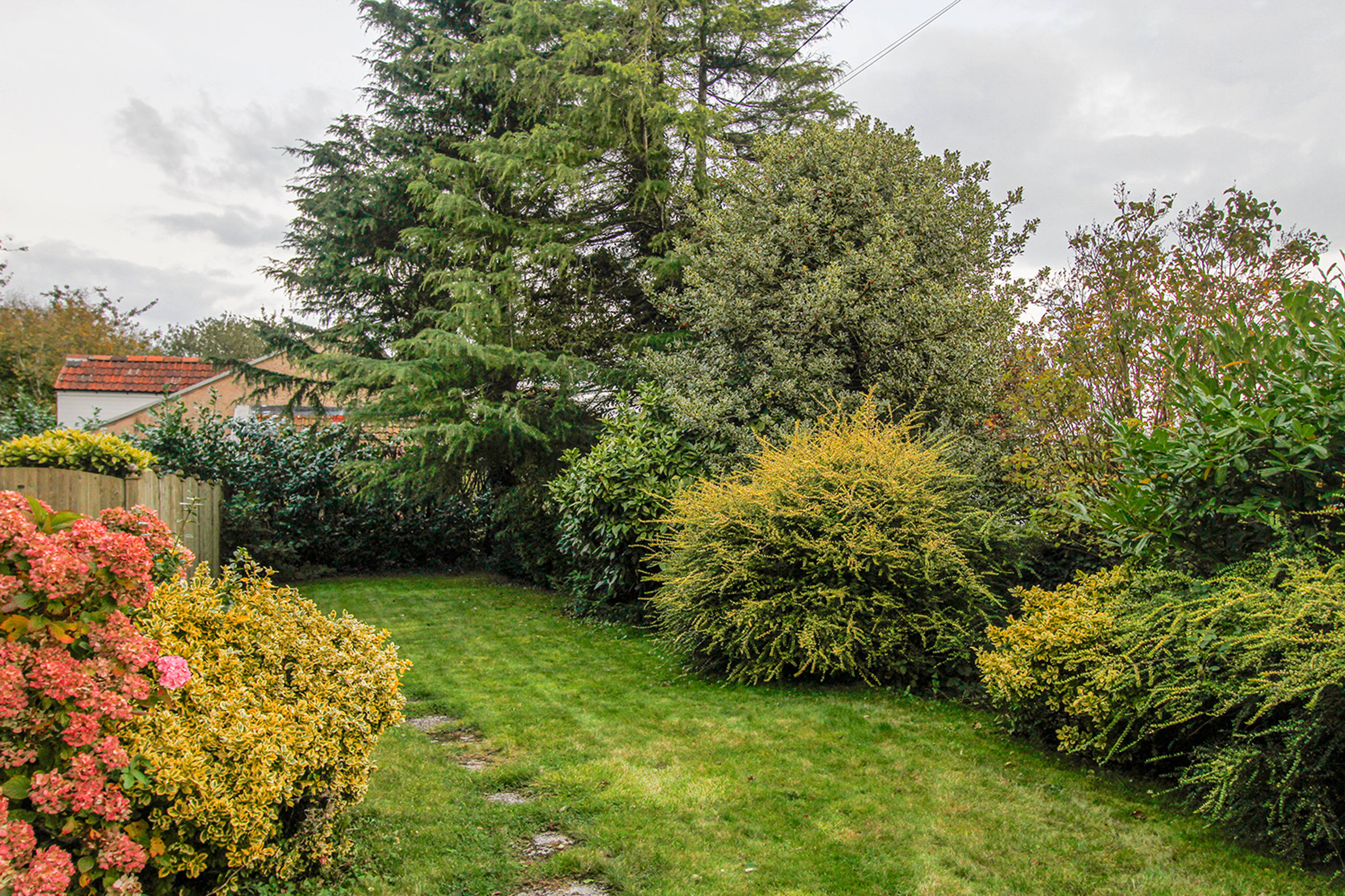Front Garden