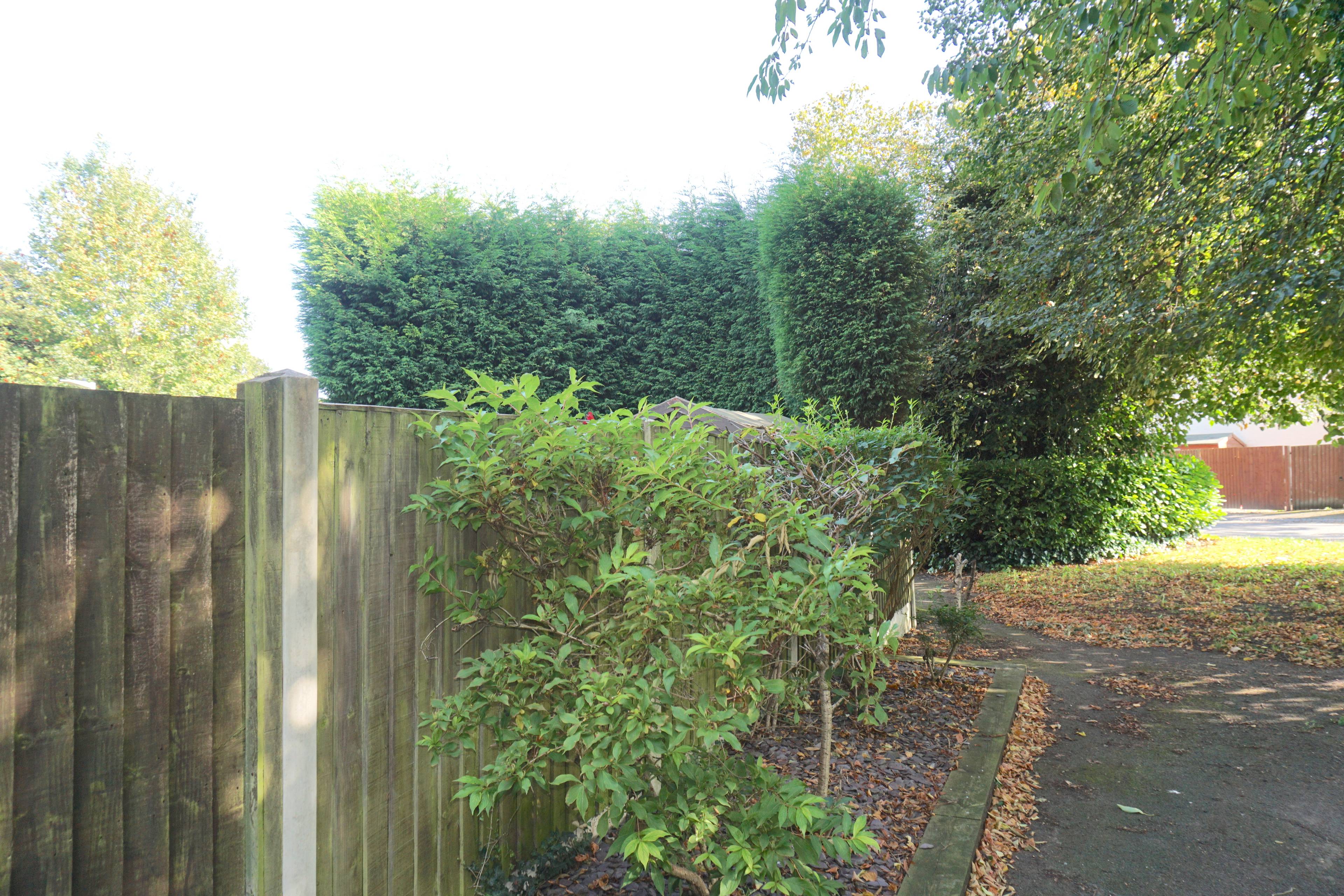 Side Garden