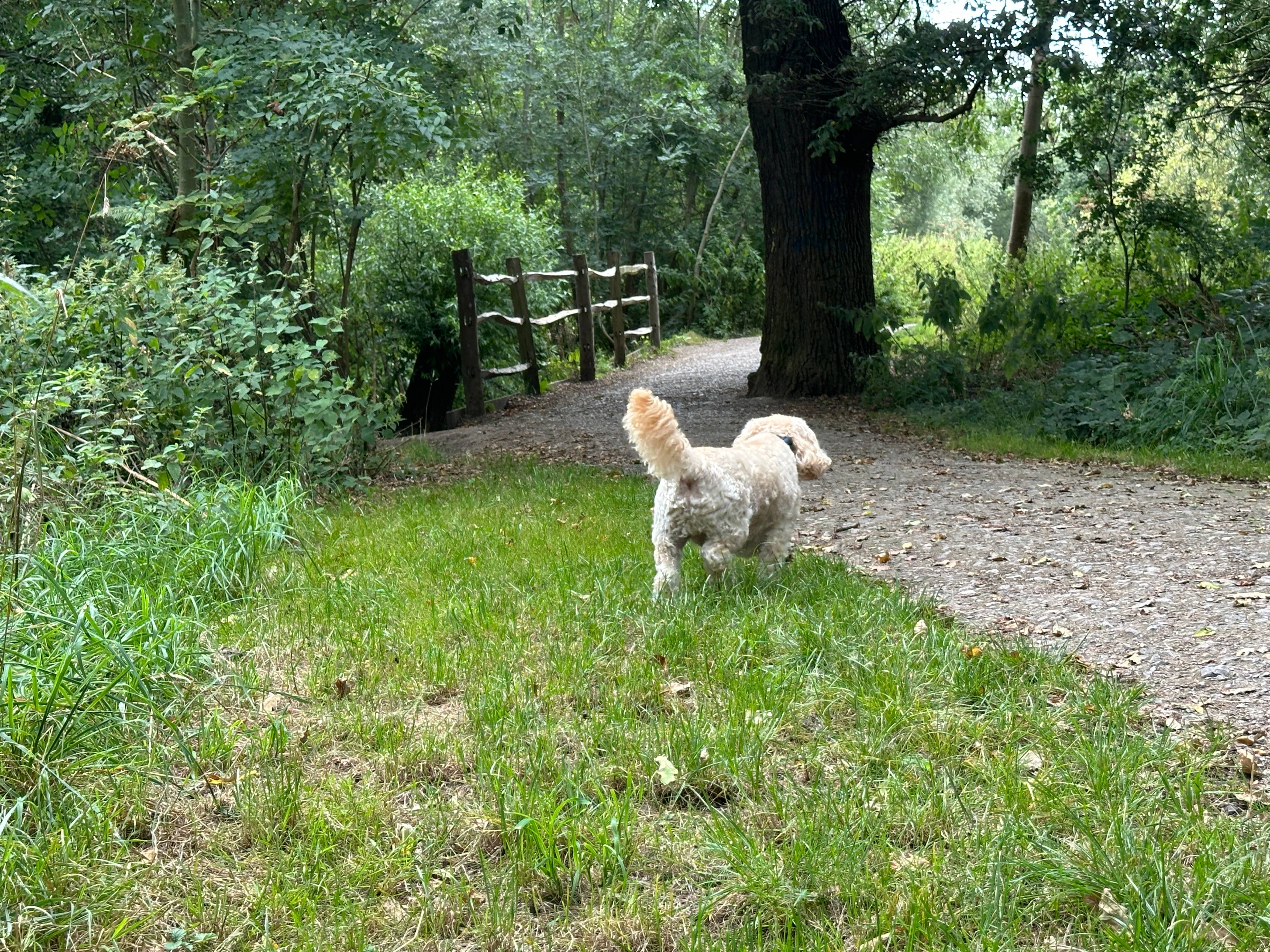 Nature Reserve