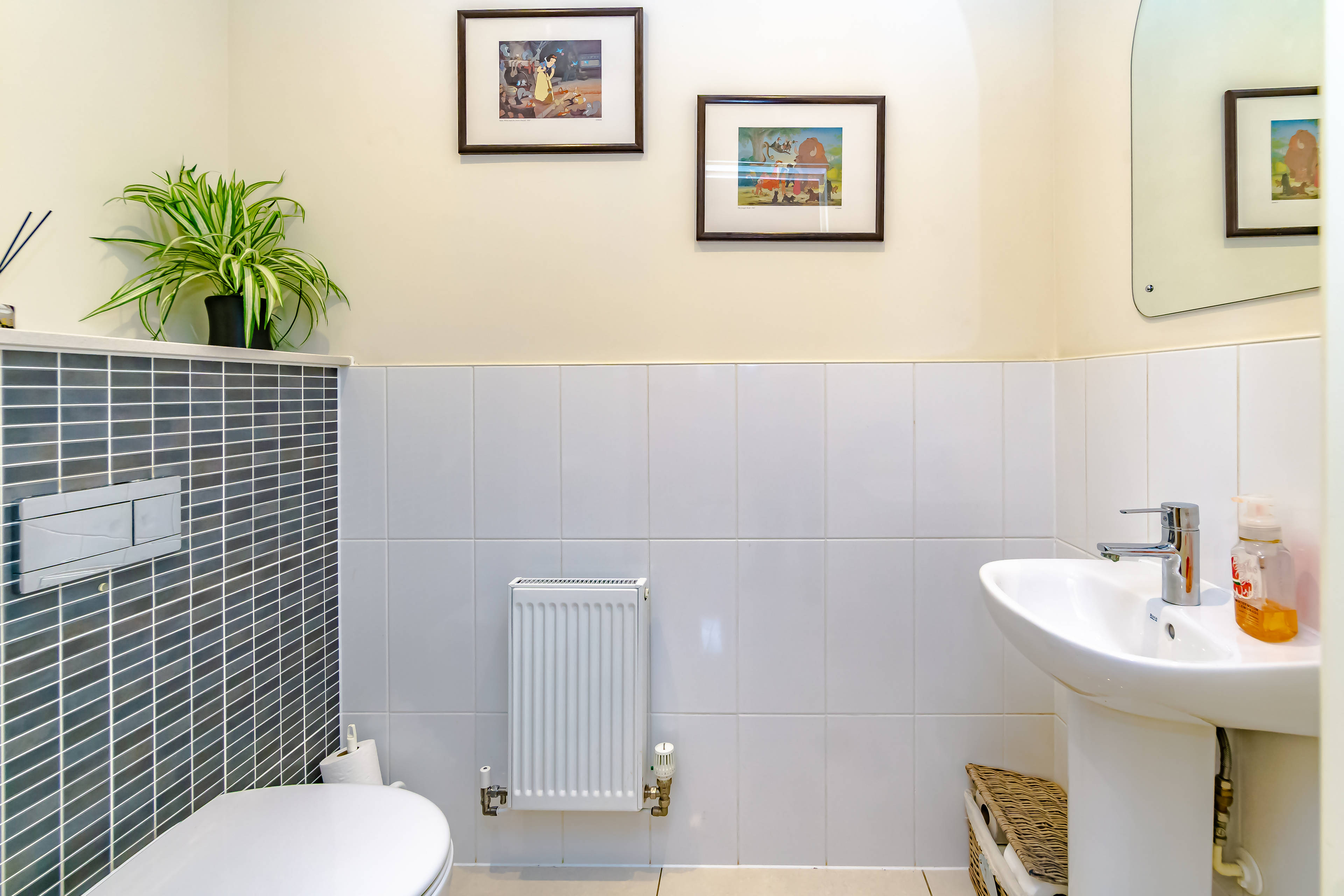 Downstairs Bathroom