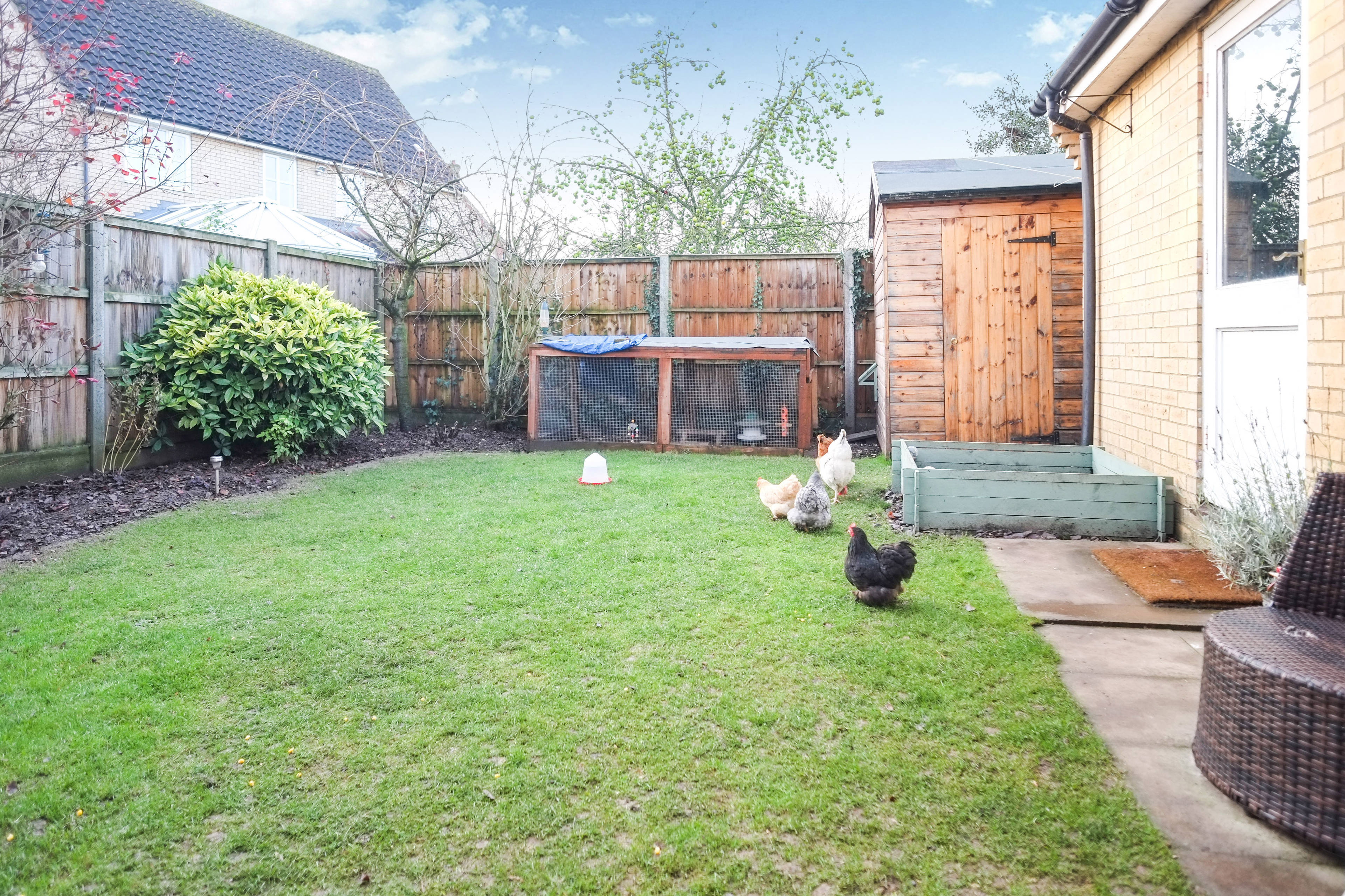 Garden