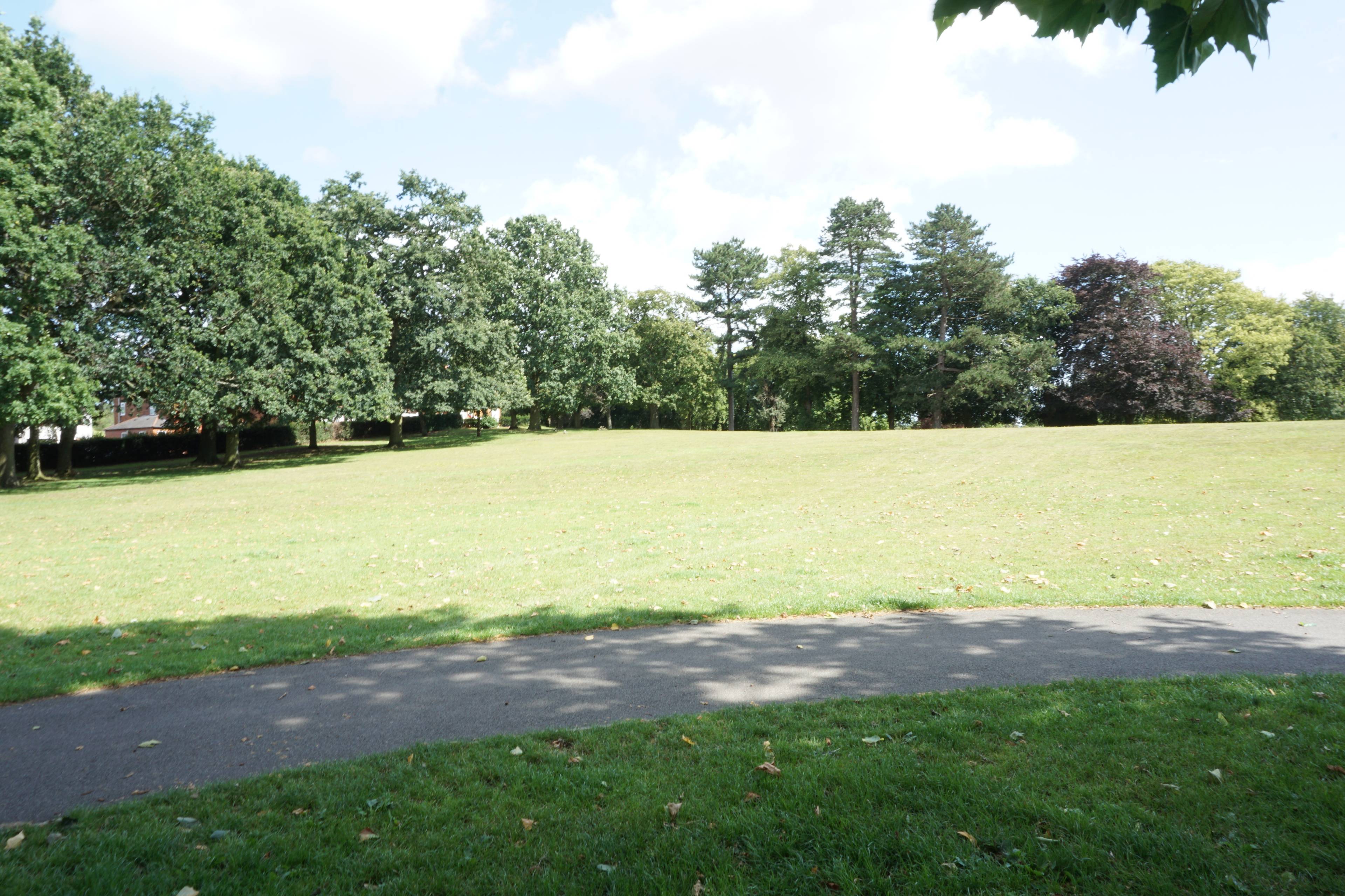 The Park