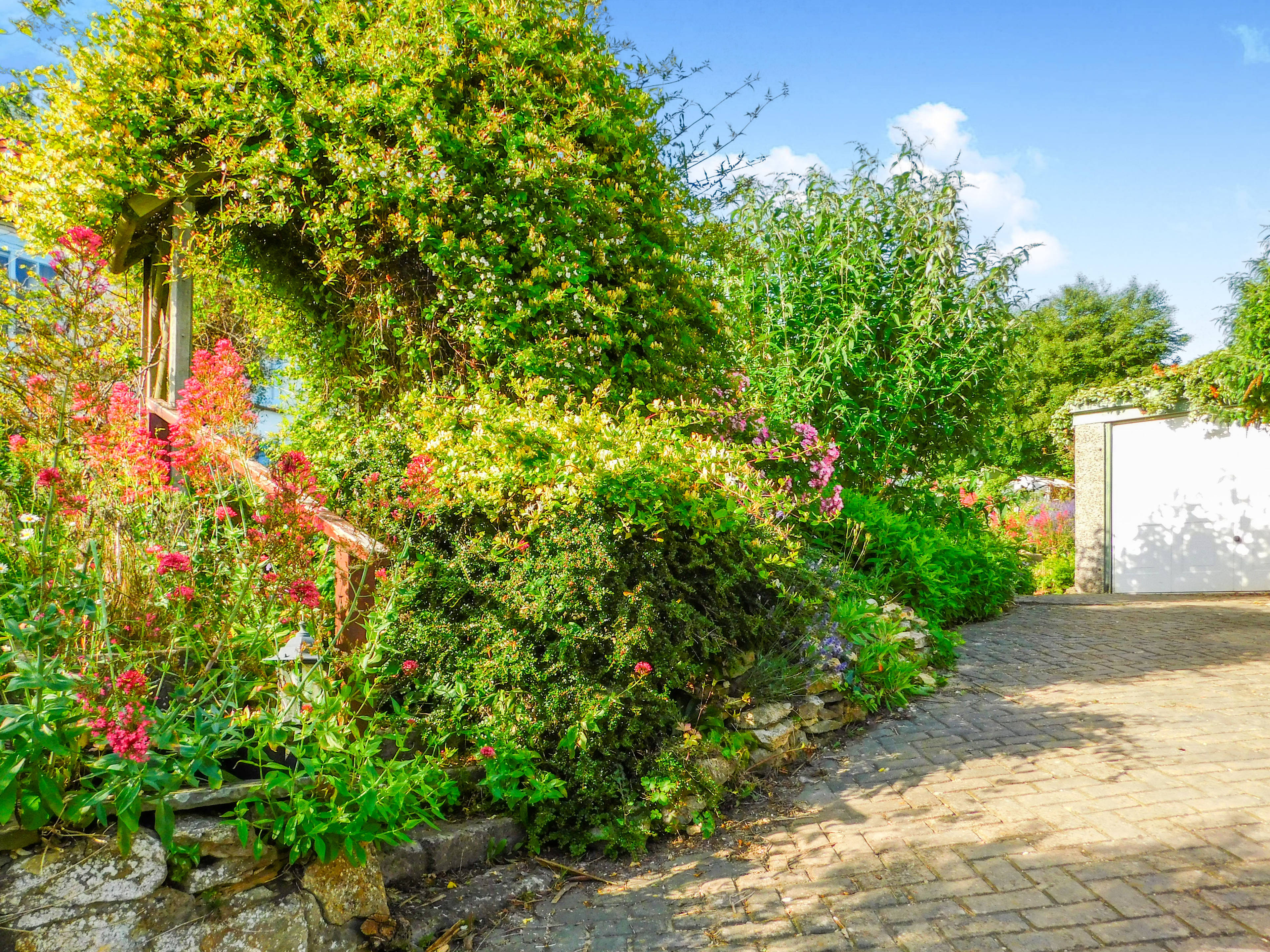 Cottage Garden