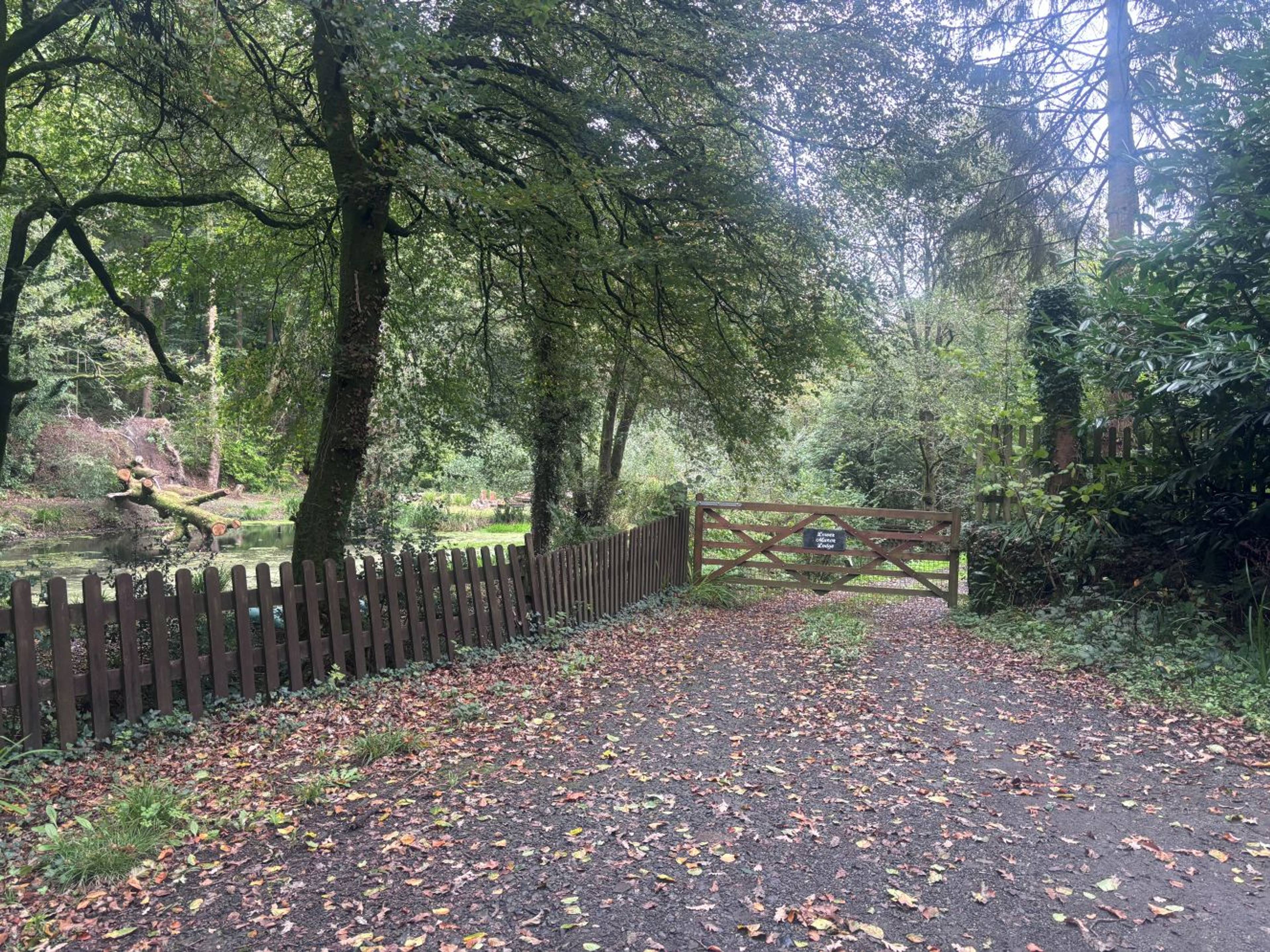 Gated Driveway