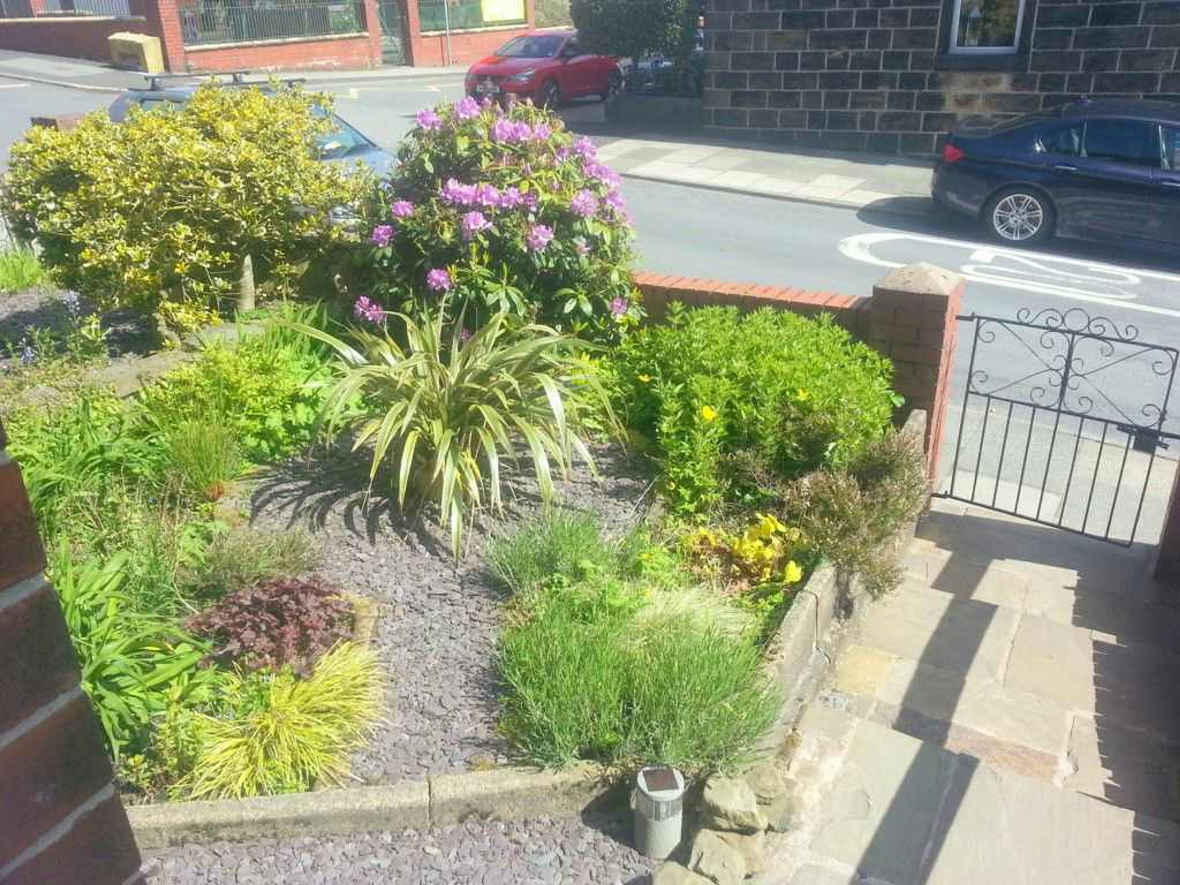 Front Garden