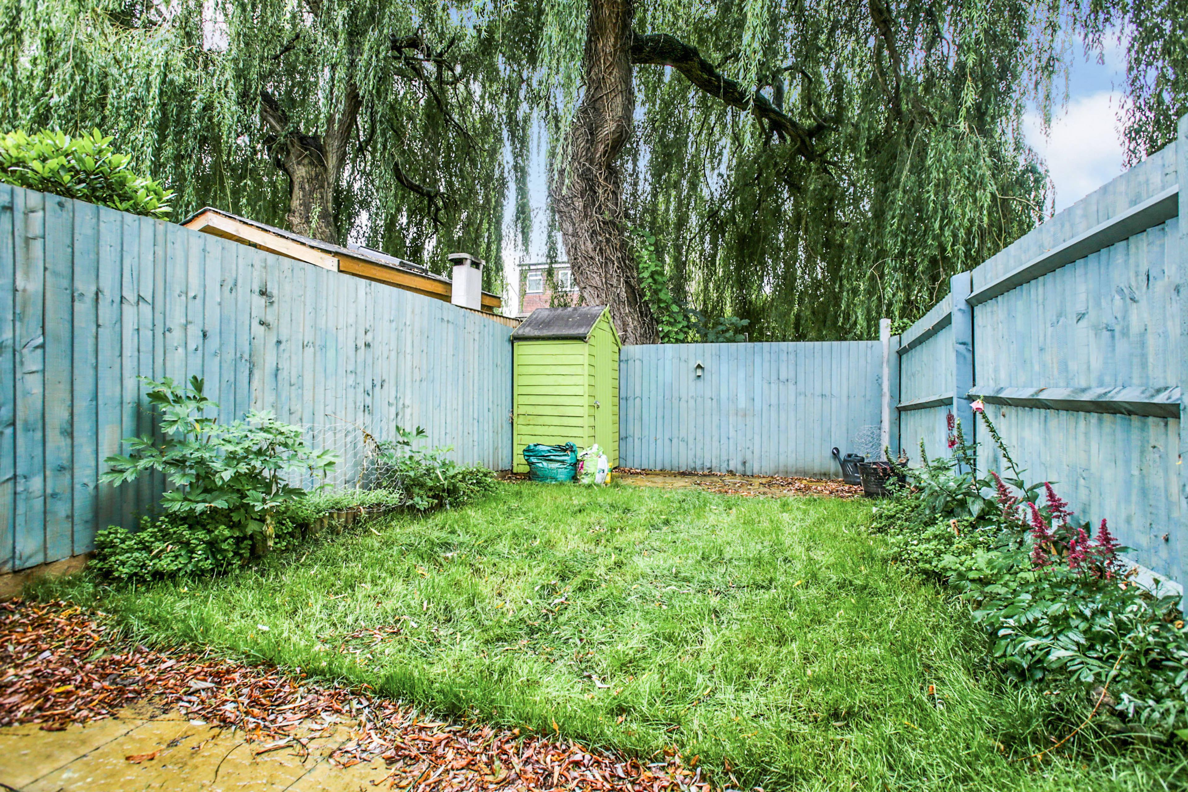 garden