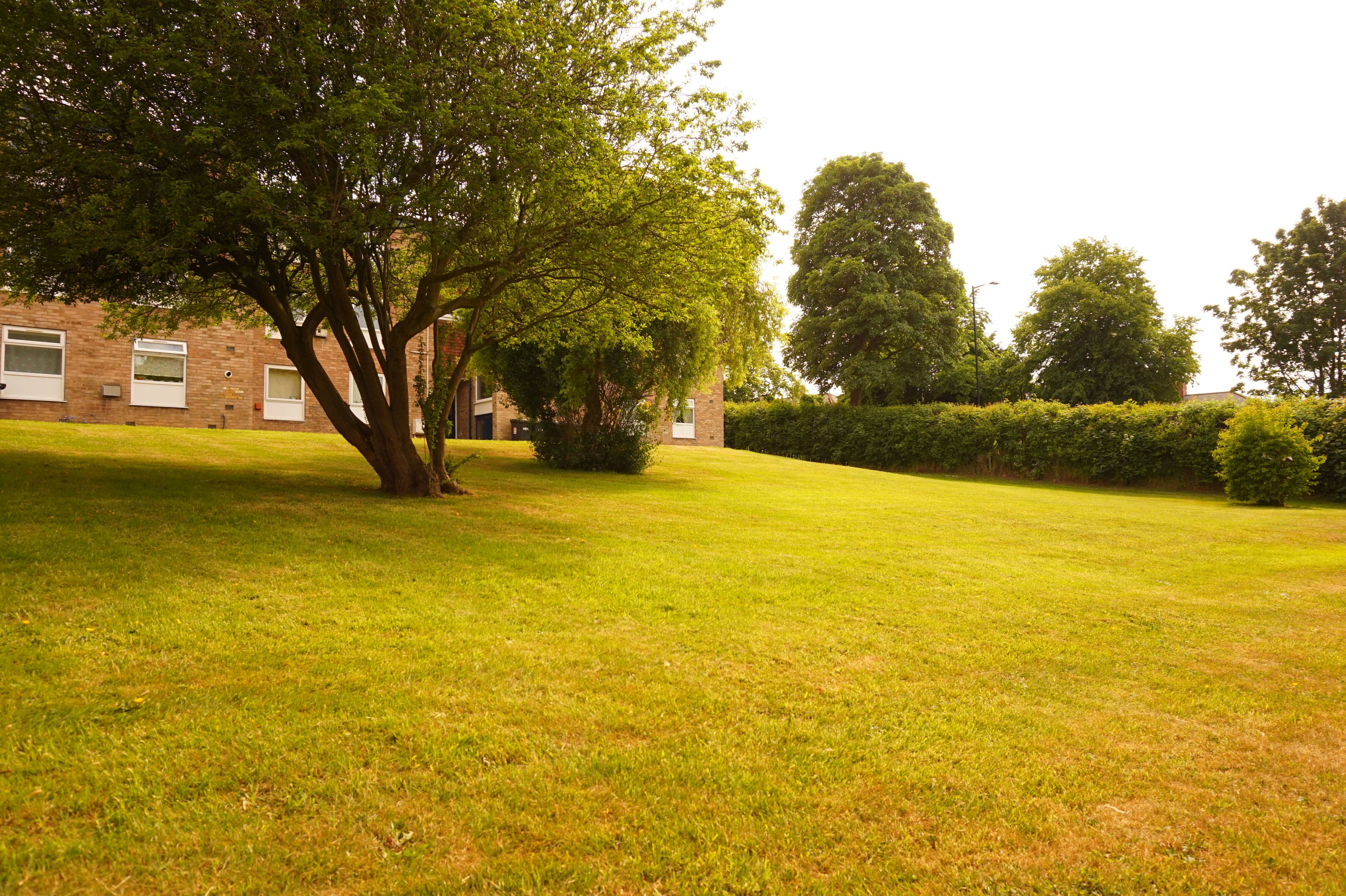 Communal Gardens