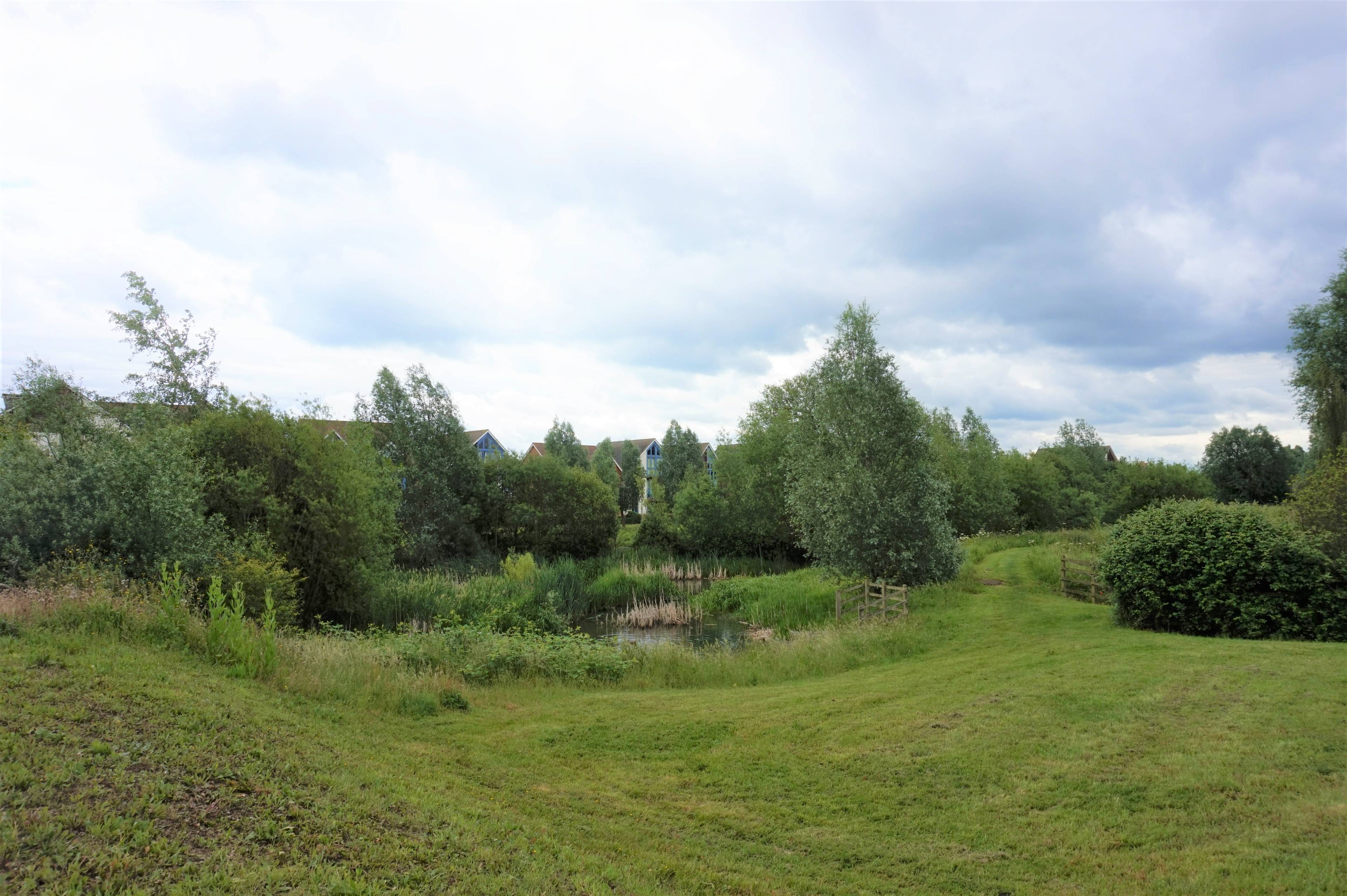 Local Area